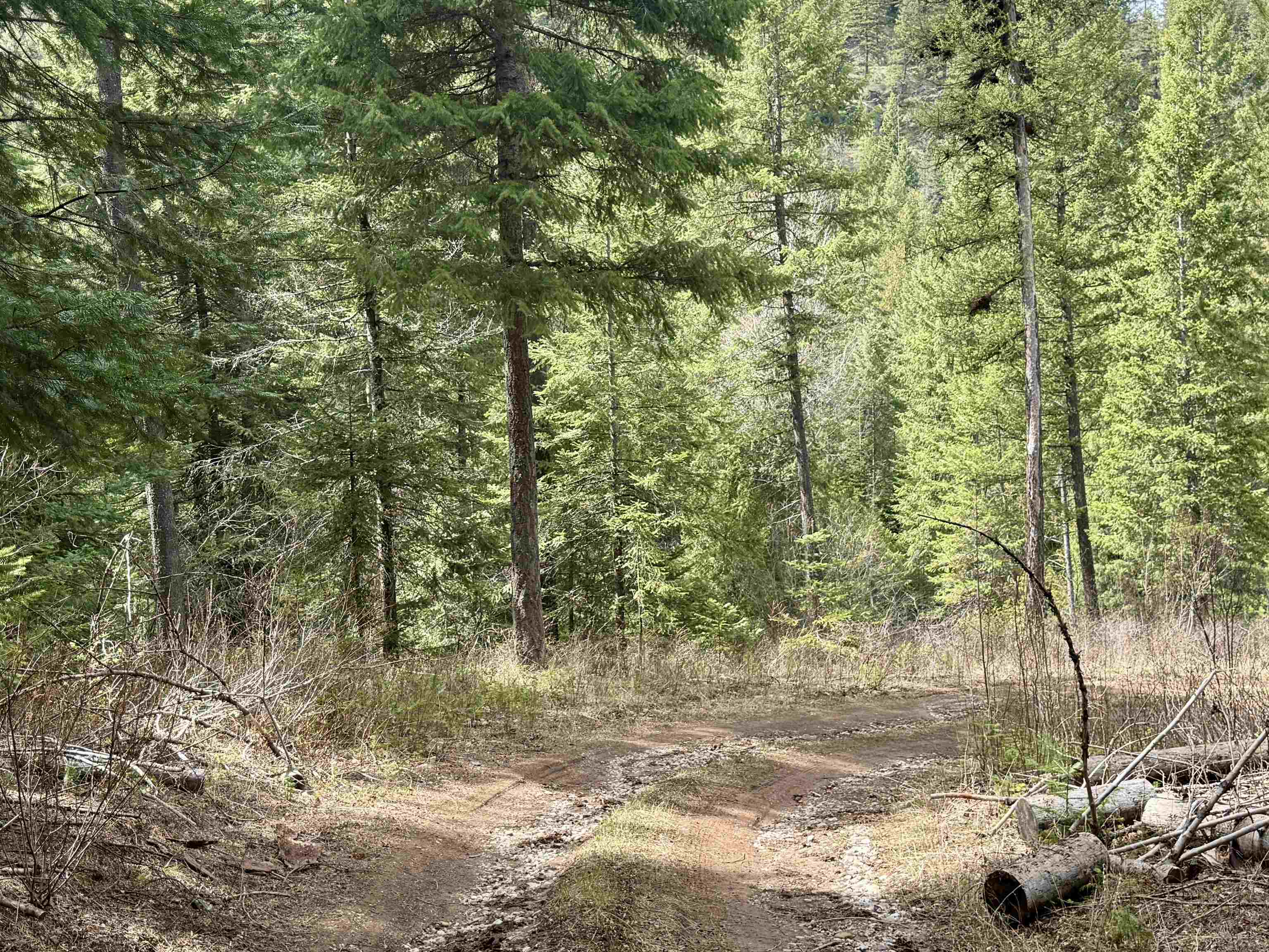 3706 k Waitts Lake Rd - Photo 8