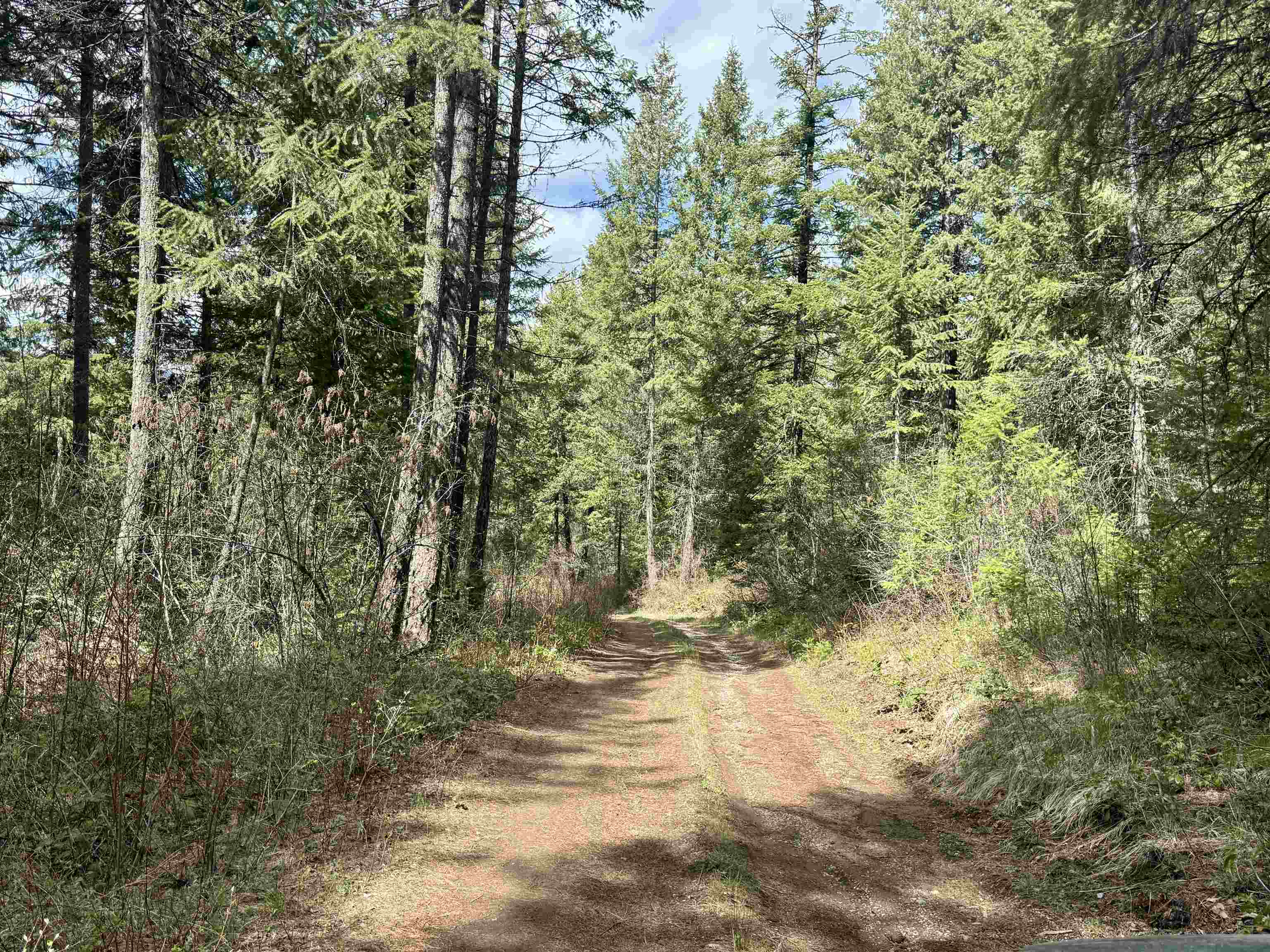 3706 k Waitts Lake Rd - Photo 9