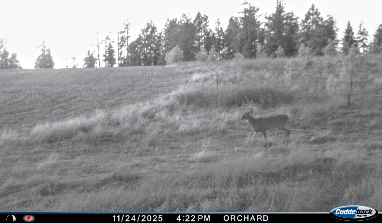 XXX Orchard Bluff Rd - Photo 15