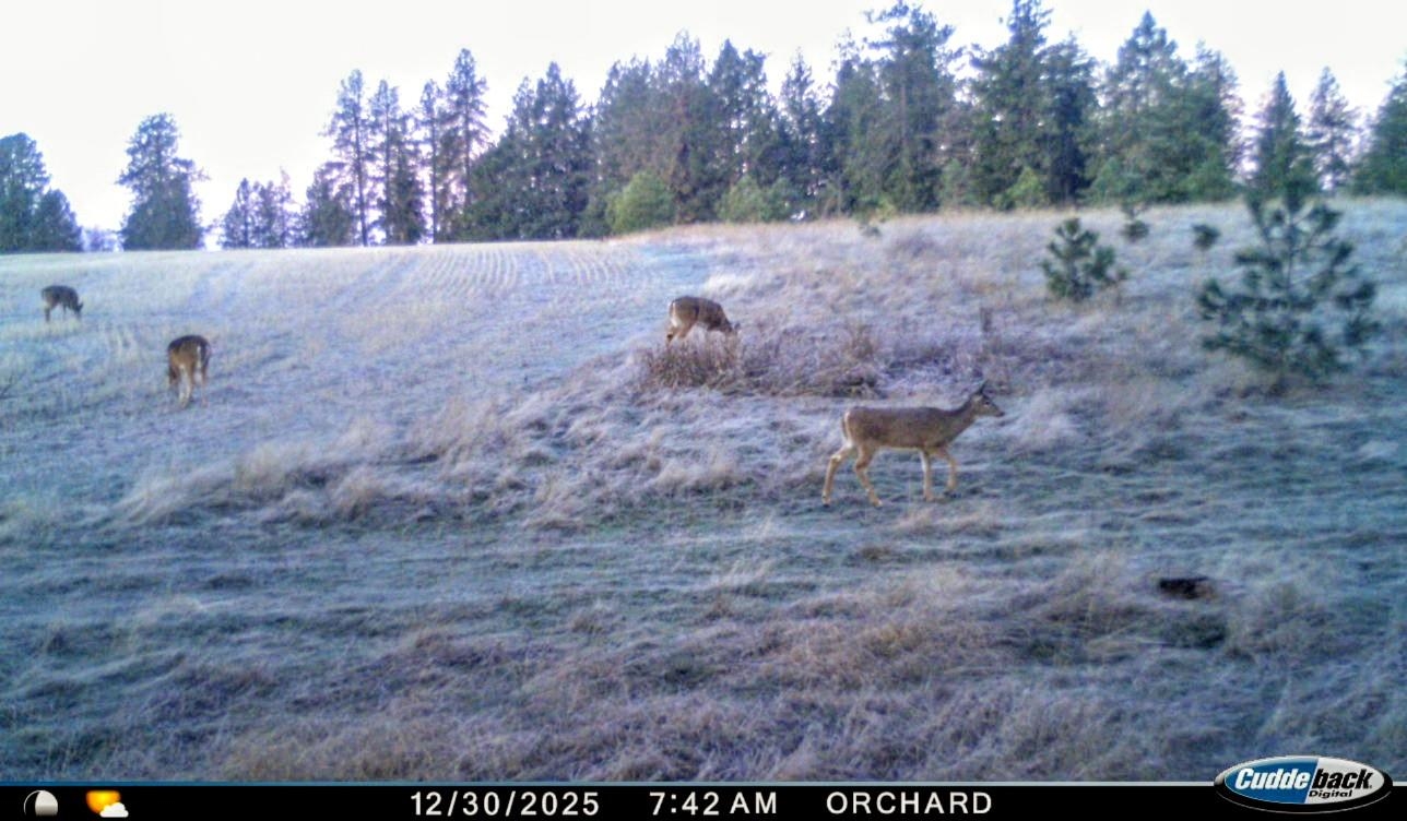 XXX Orchard Bluff Rd - Photo 16