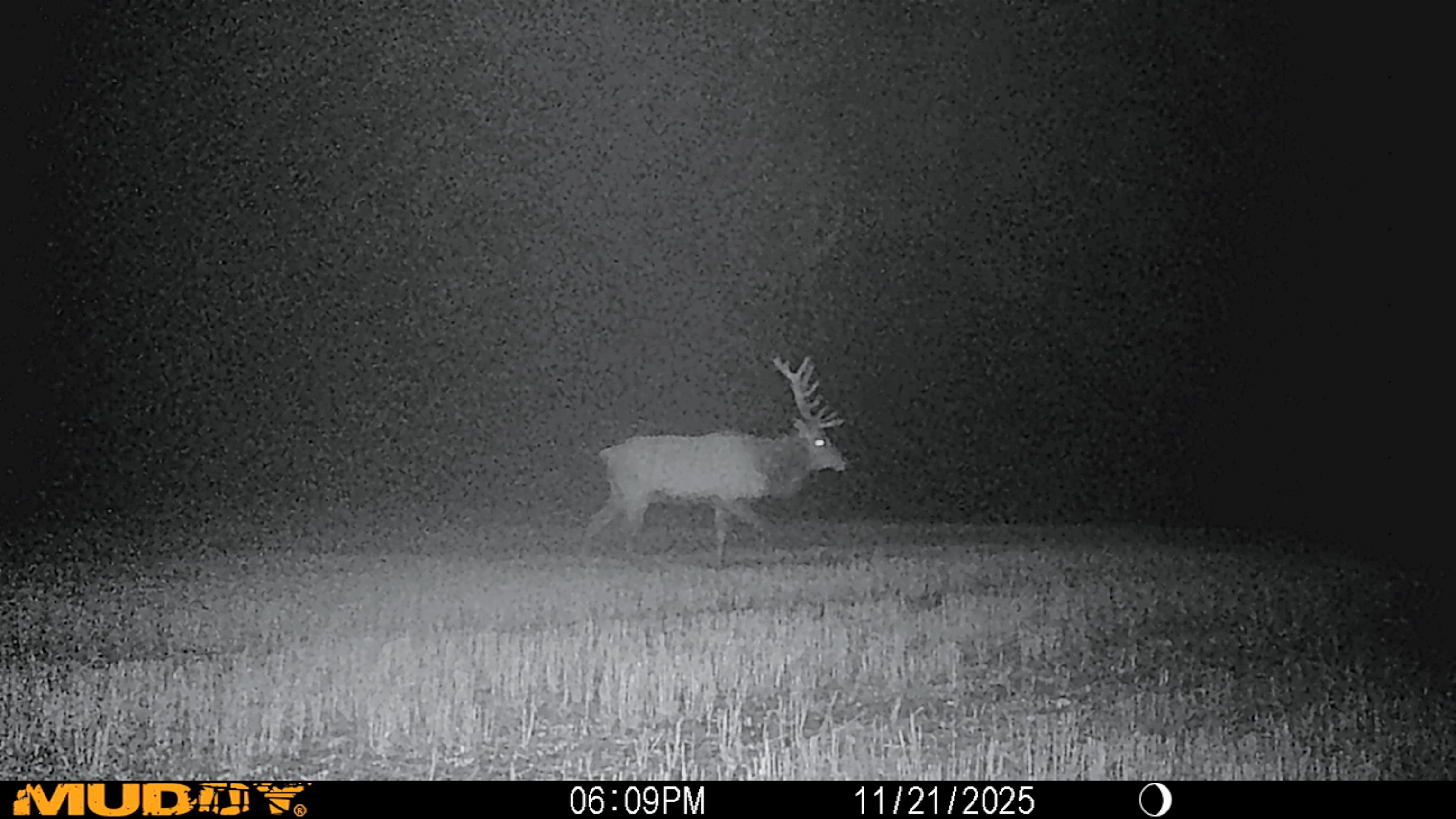 XXX Orchard Bluff Rd - Photo 18