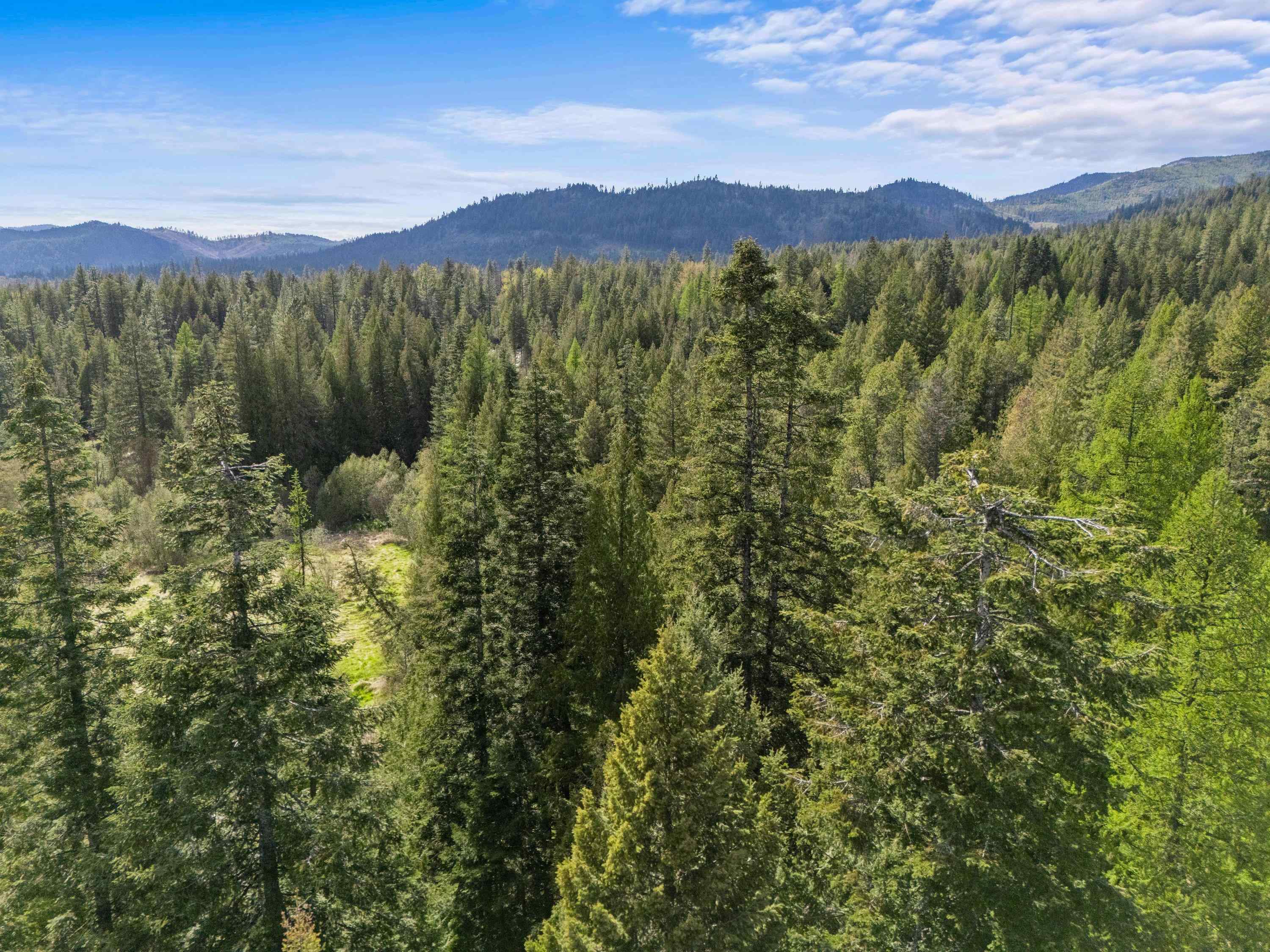 242 Quartz Rd - Photo 11