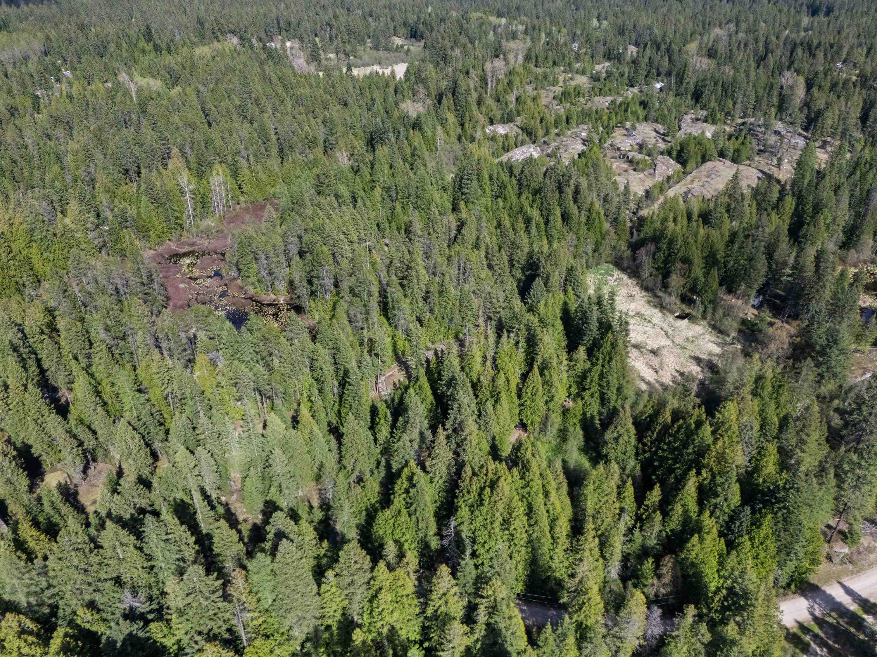 242 Quartz Rd - Photo 12