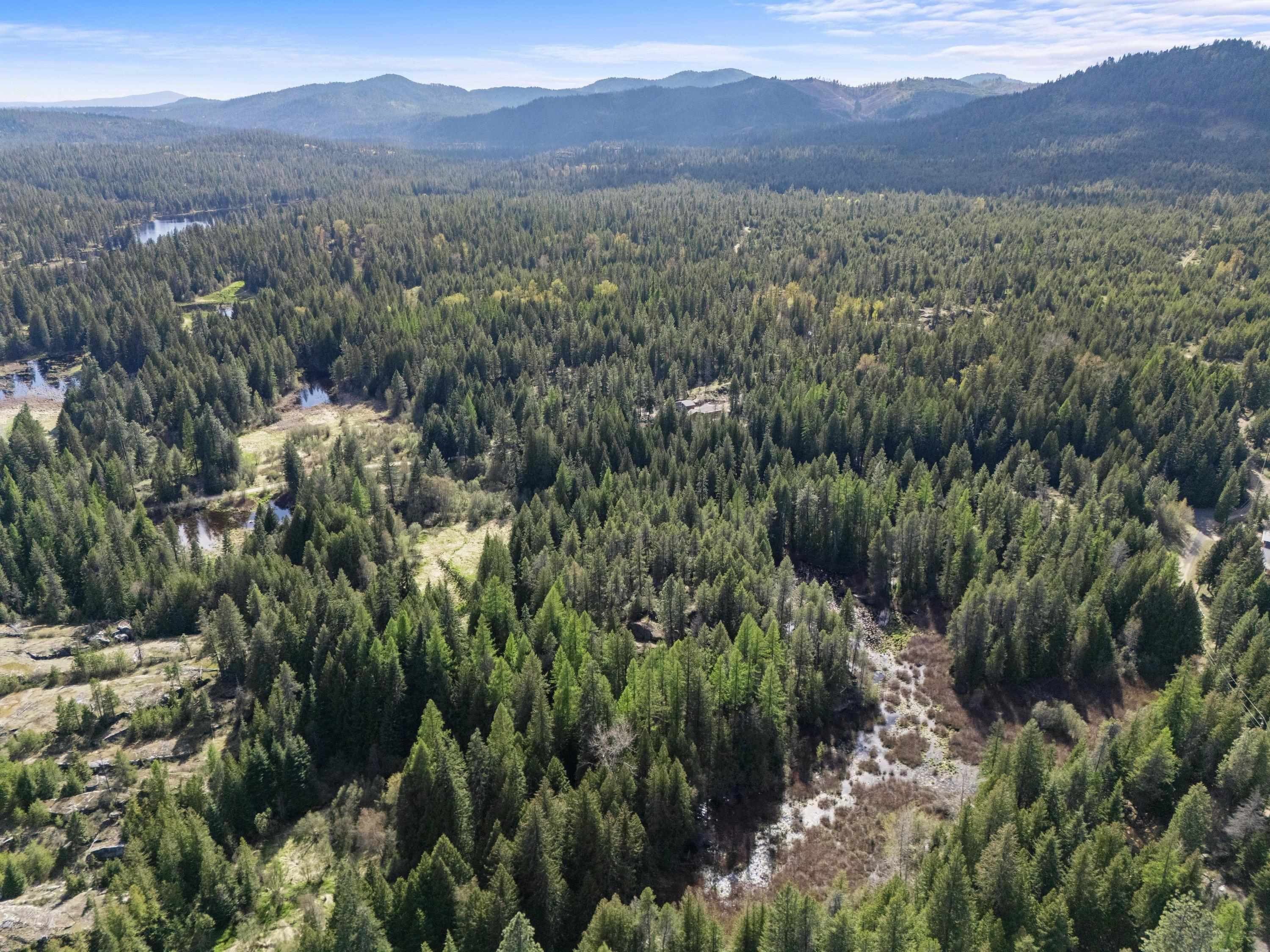 242 Quartz Rd - Photo 13