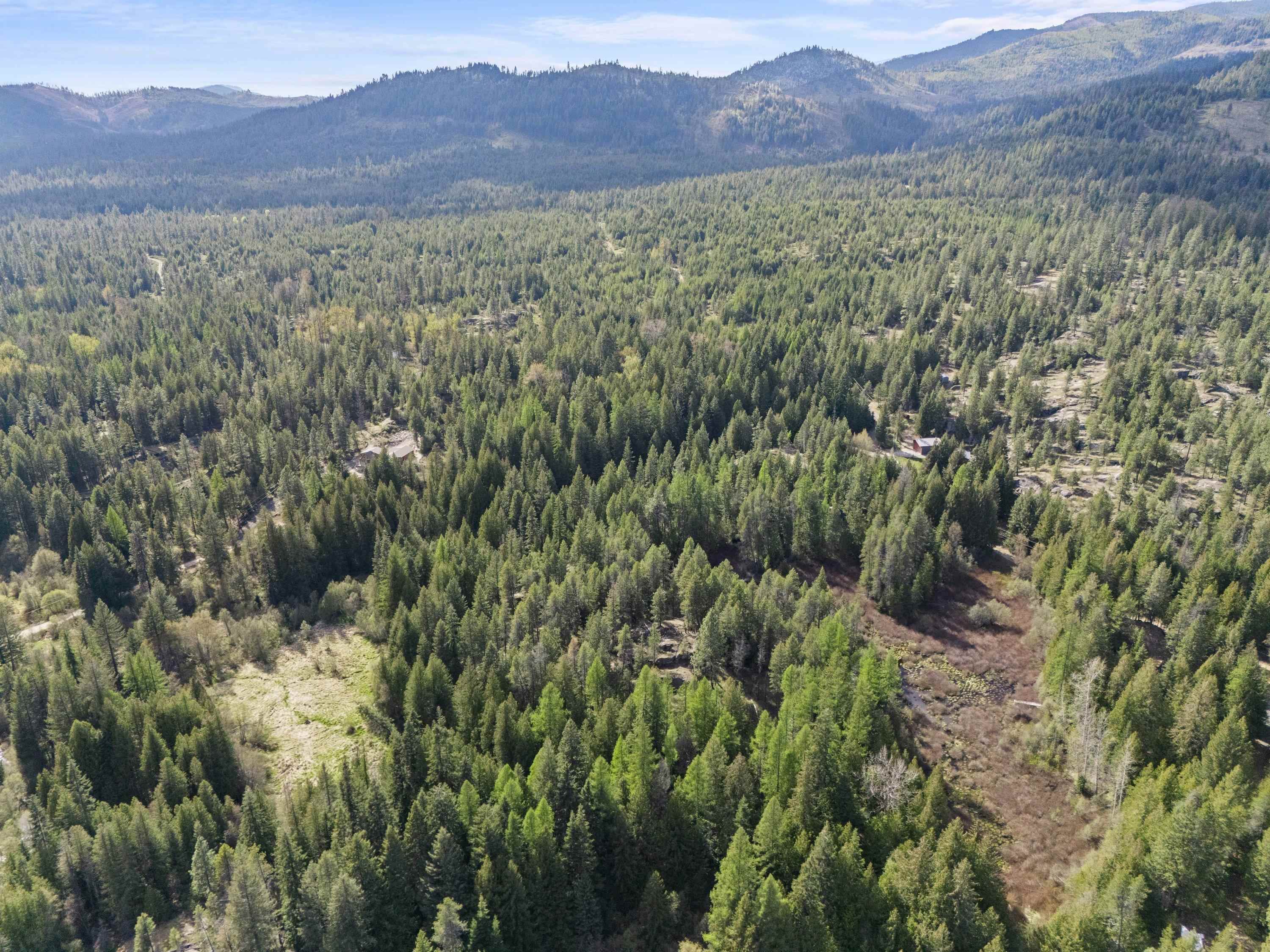 242 Quartz Rd - Photo 14