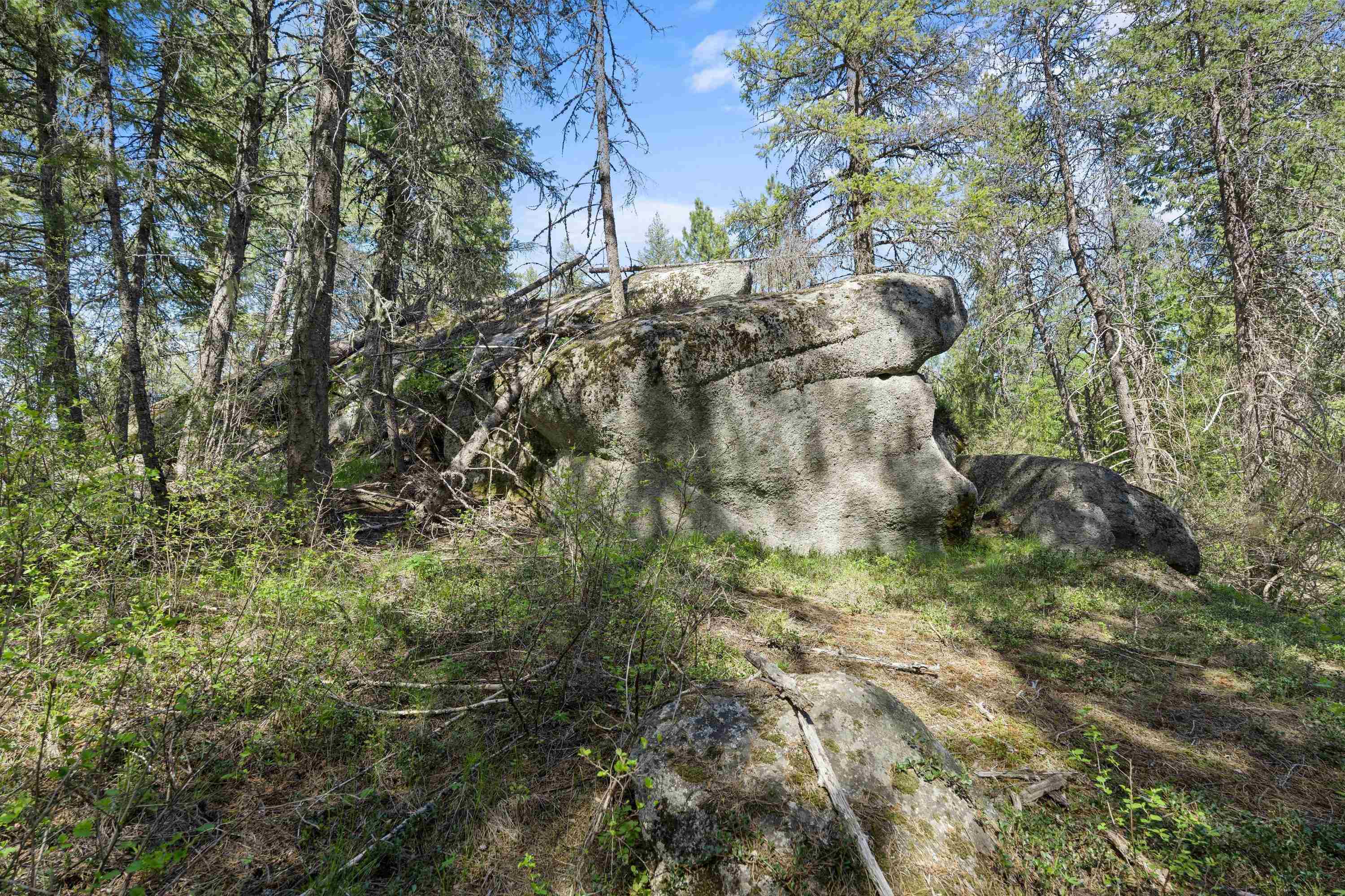 242 Quartz Rd - Photo 16