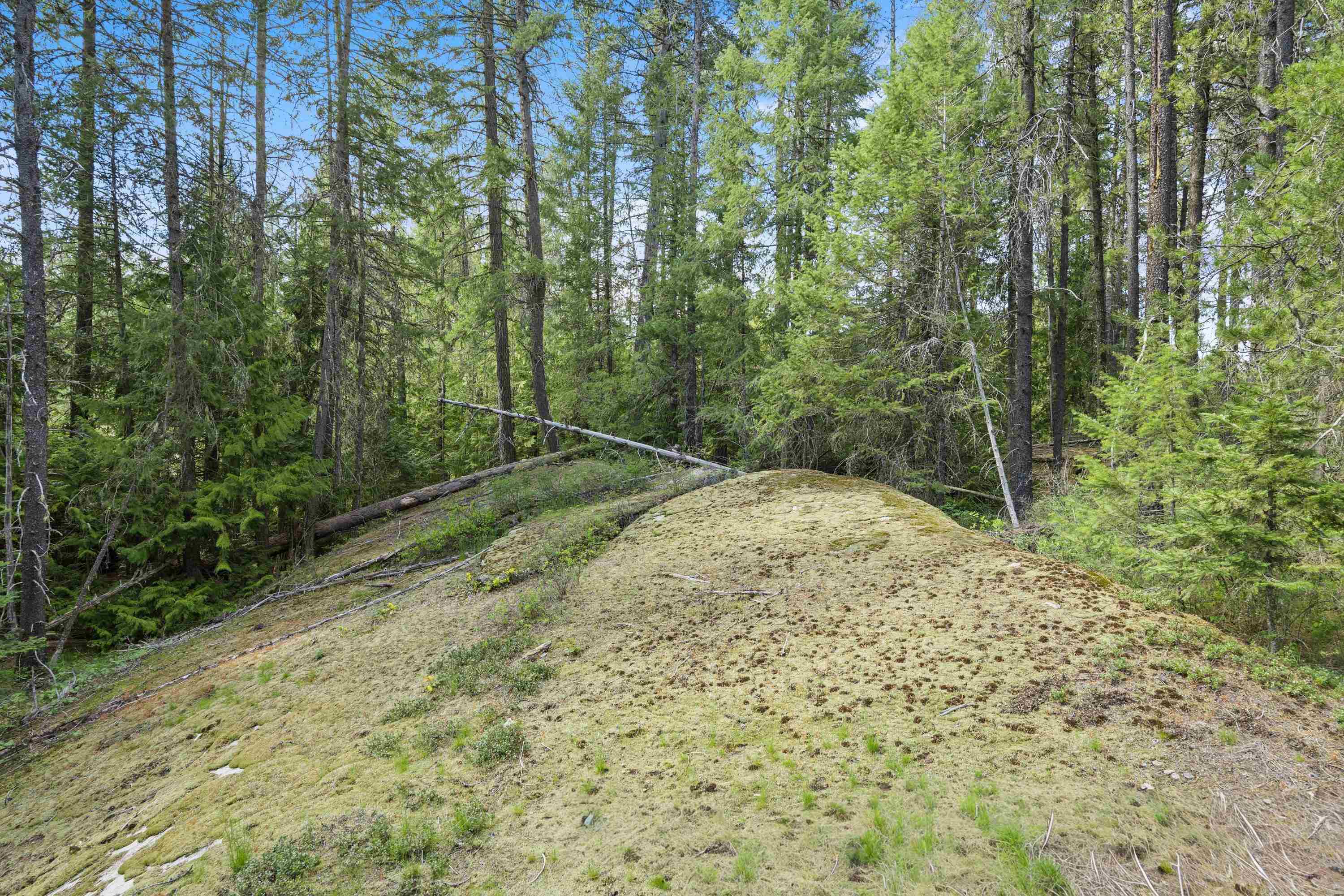 242 Quartz Rd - Photo 18