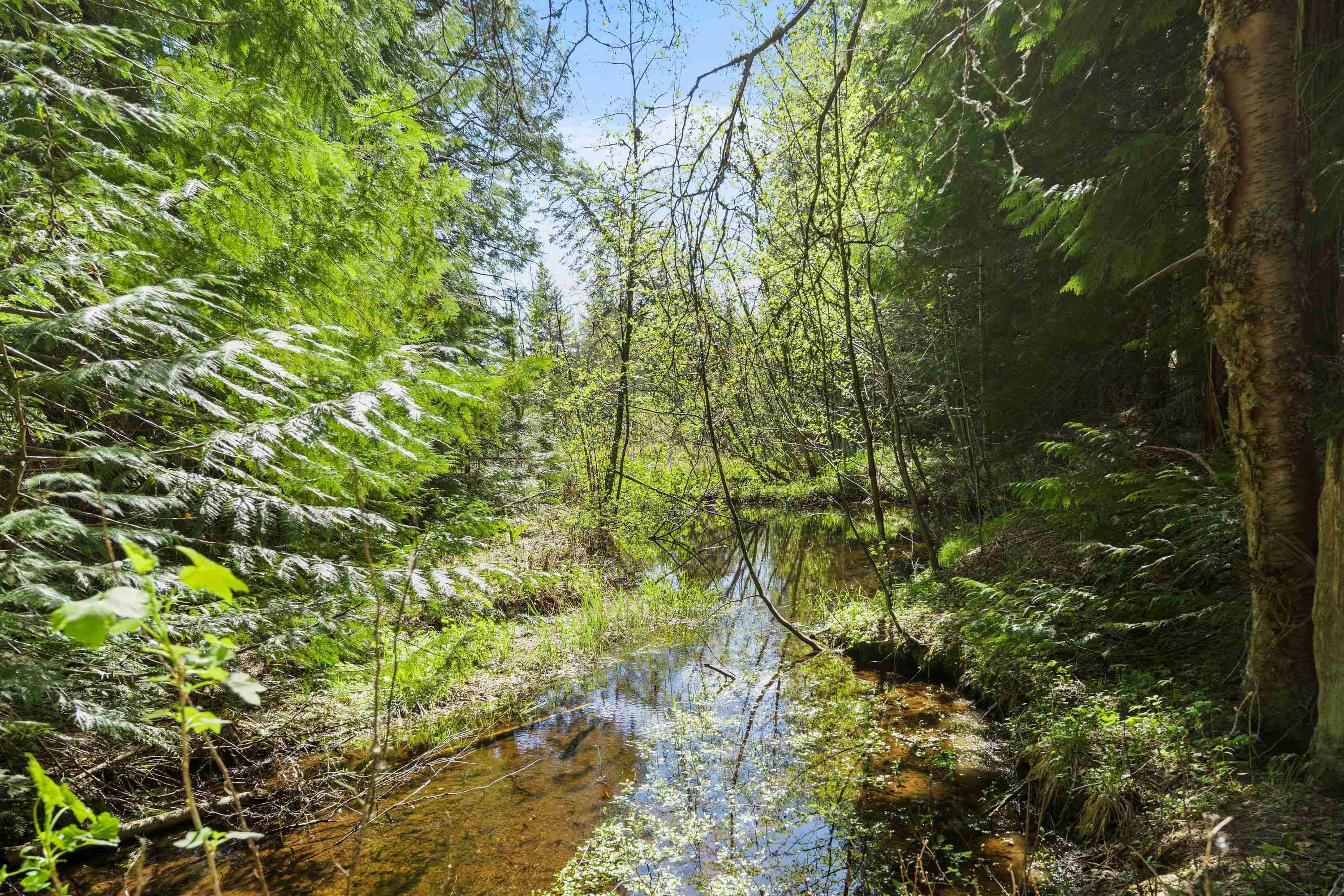 242 Quartz Rd - Photo 19