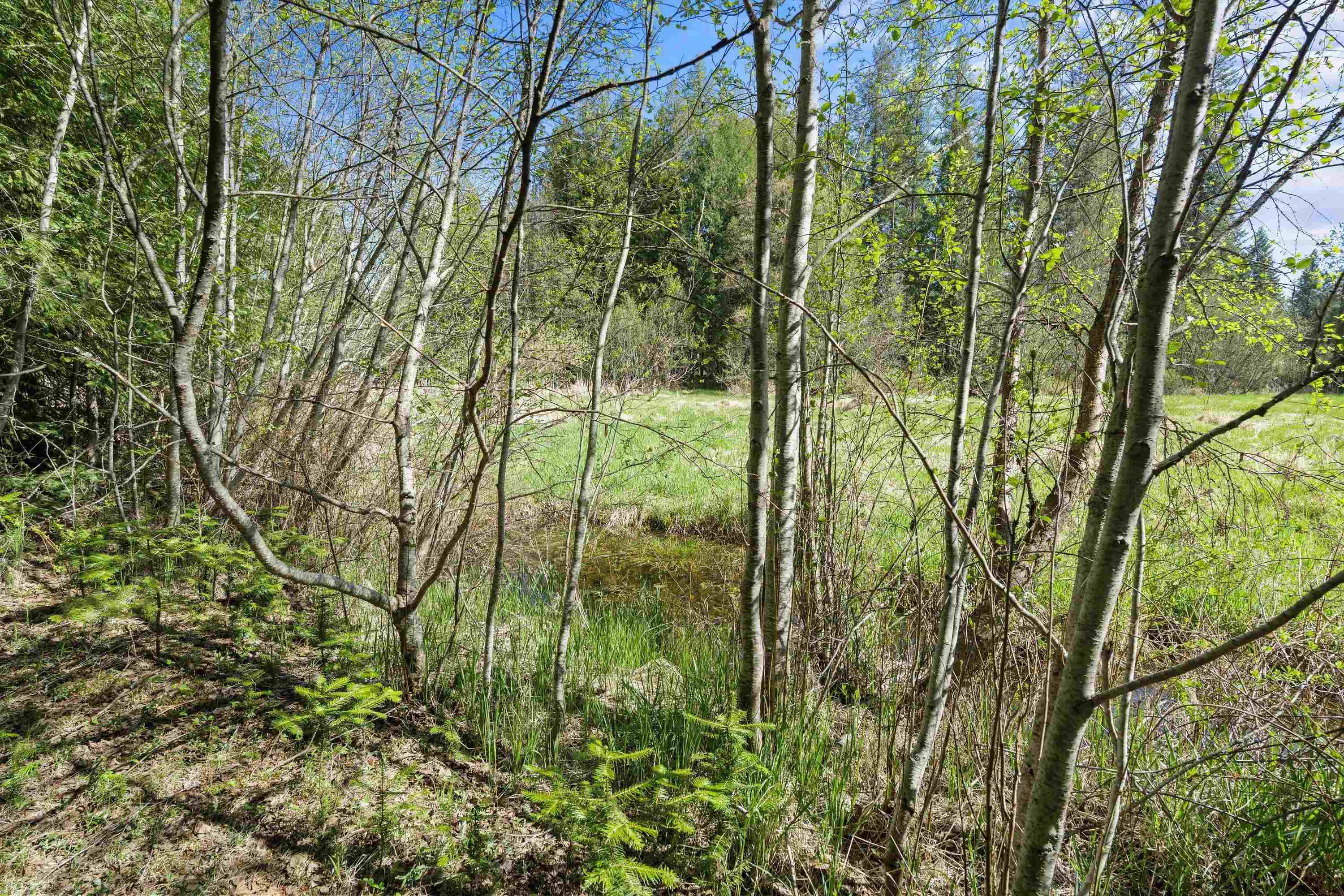 242 Quartz Rd - Photo 20