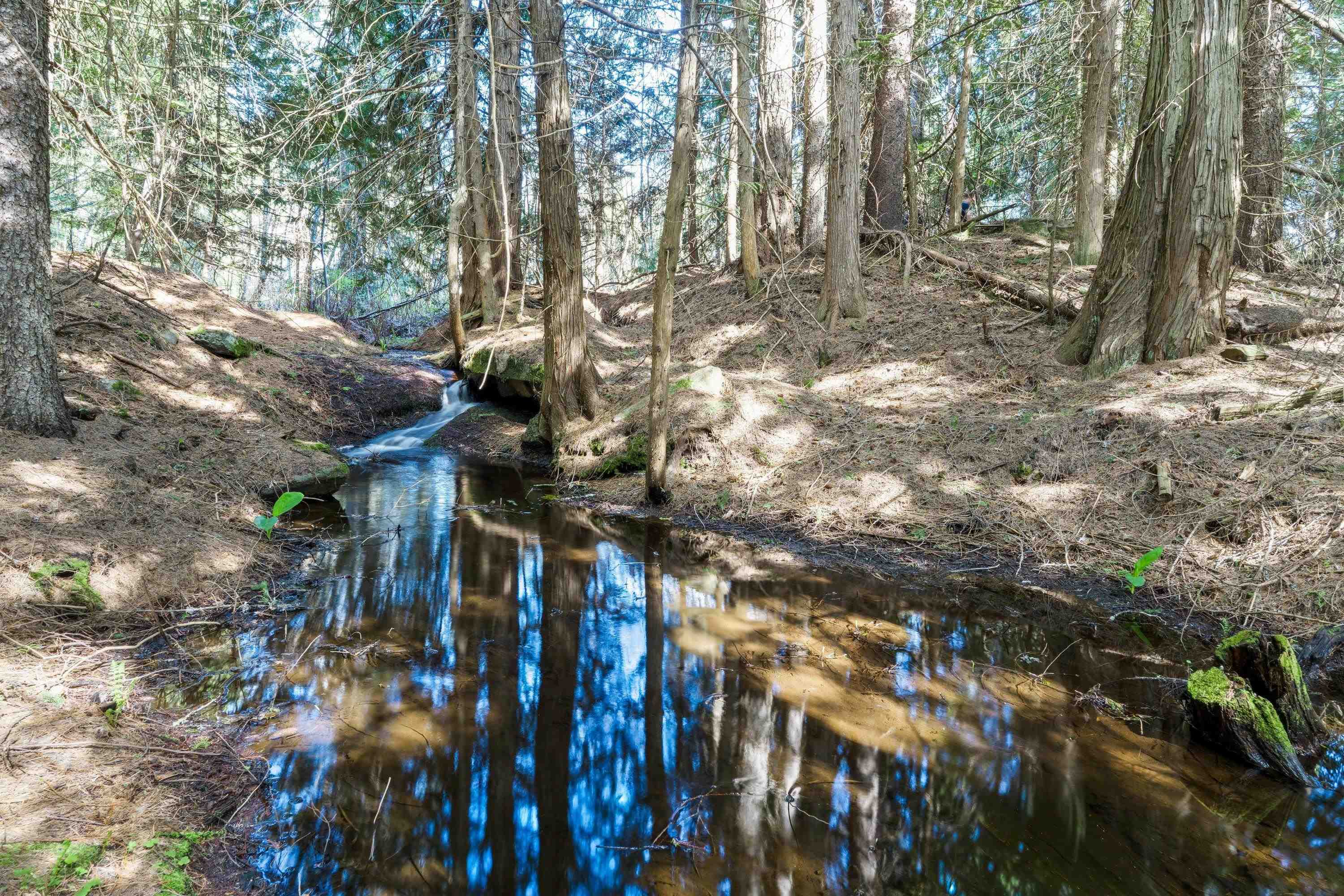 242 Quartz Rd - Photo 3