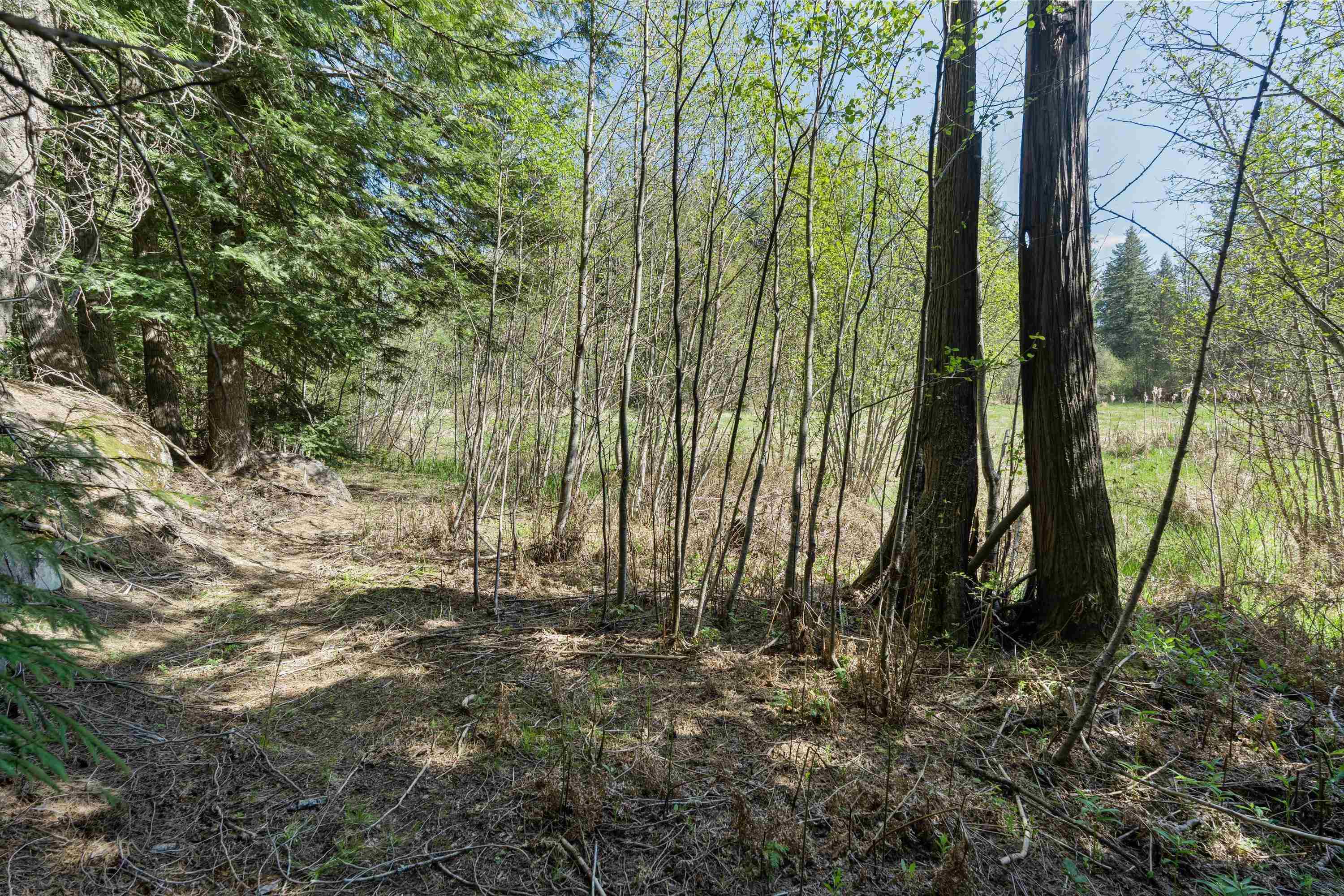 242 Quartz Rd - Photo 21