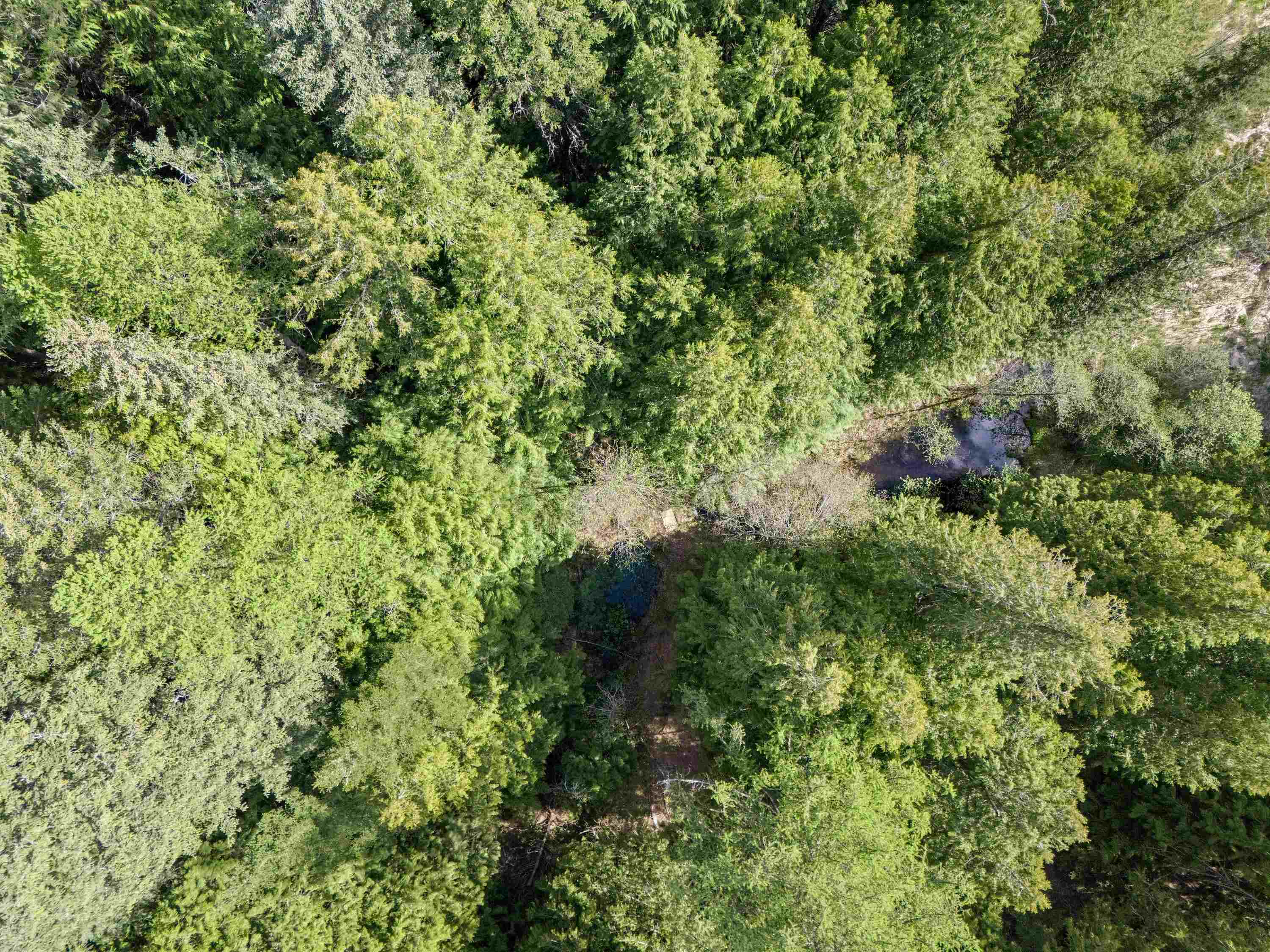 242 Quartz Rd - Photo 22