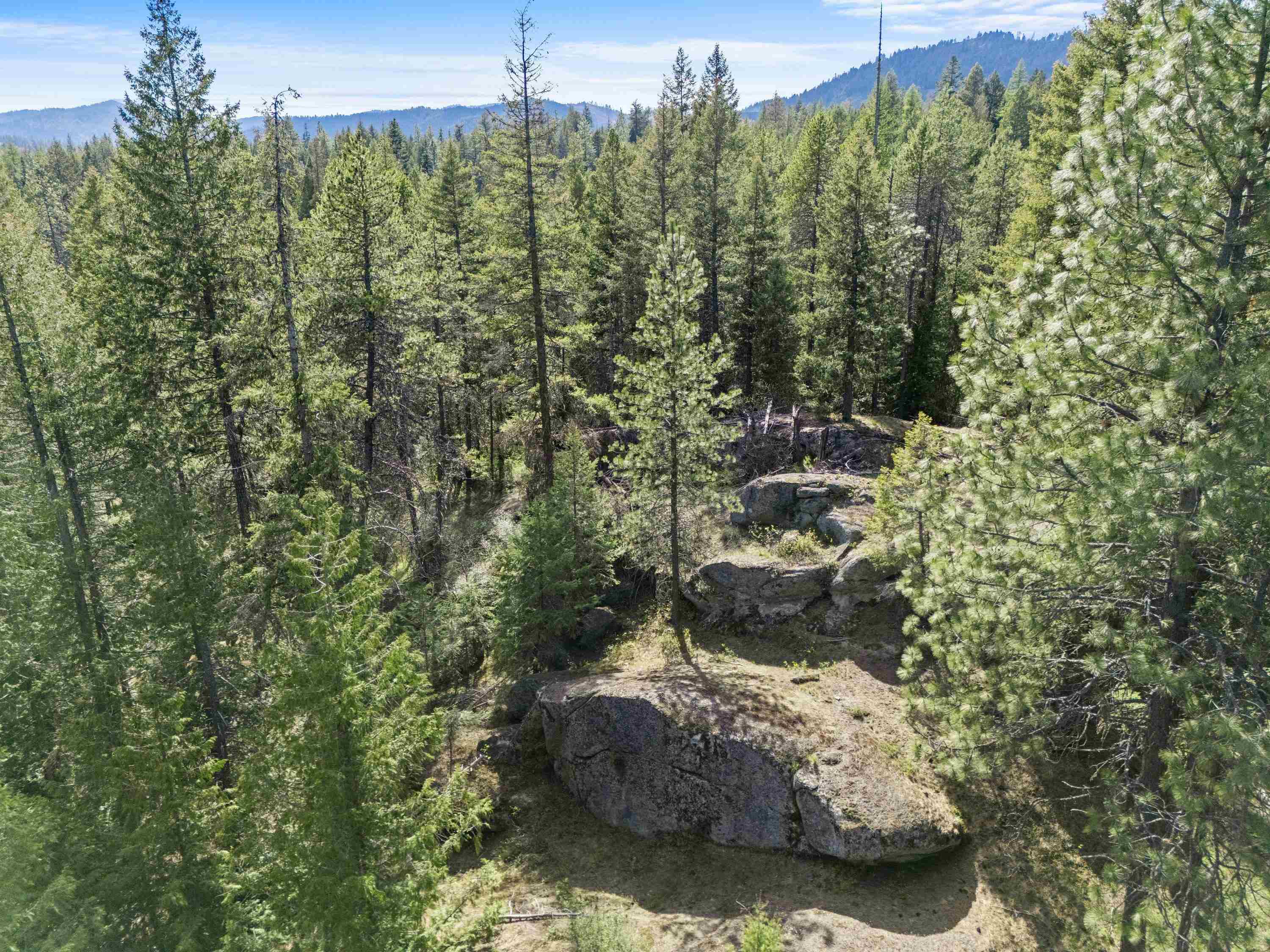 242 Quartz Rd - Photo 23