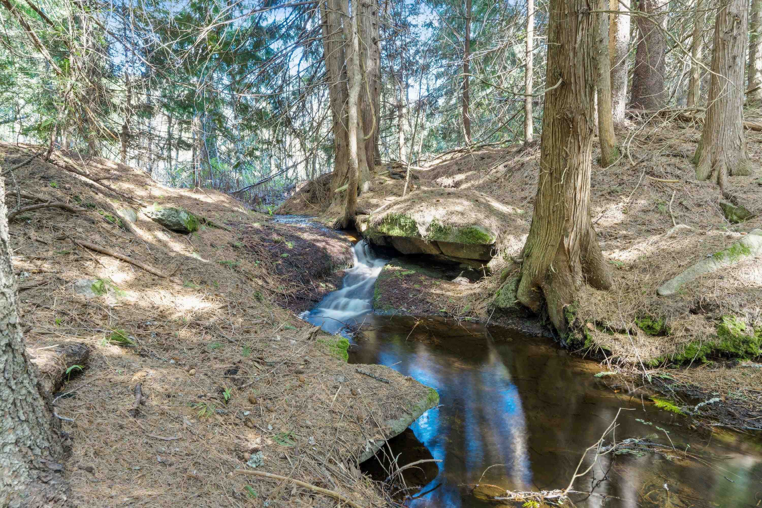 242 Quartz Rd - Photo 4