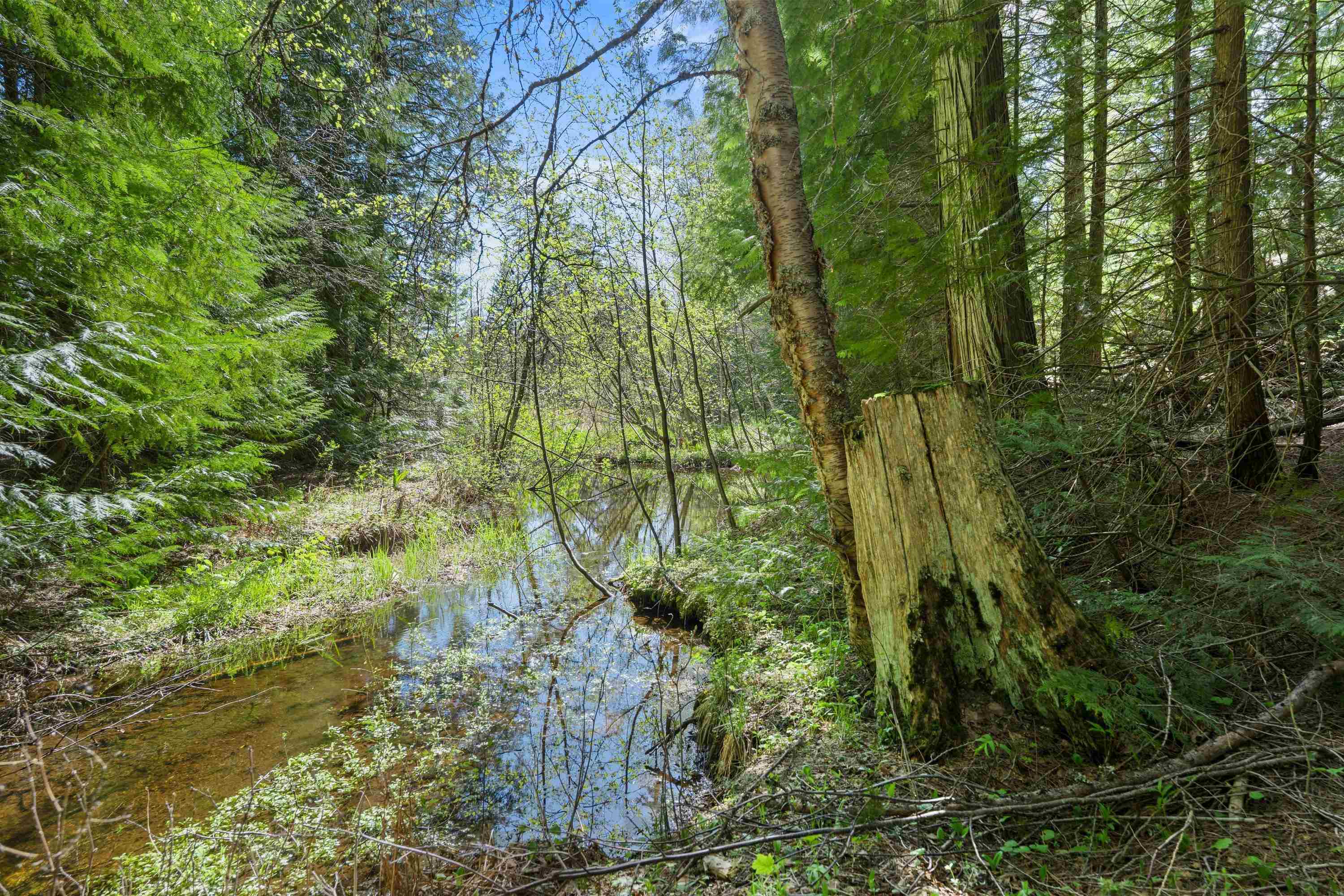 242 Quartz Rd - Photo 5