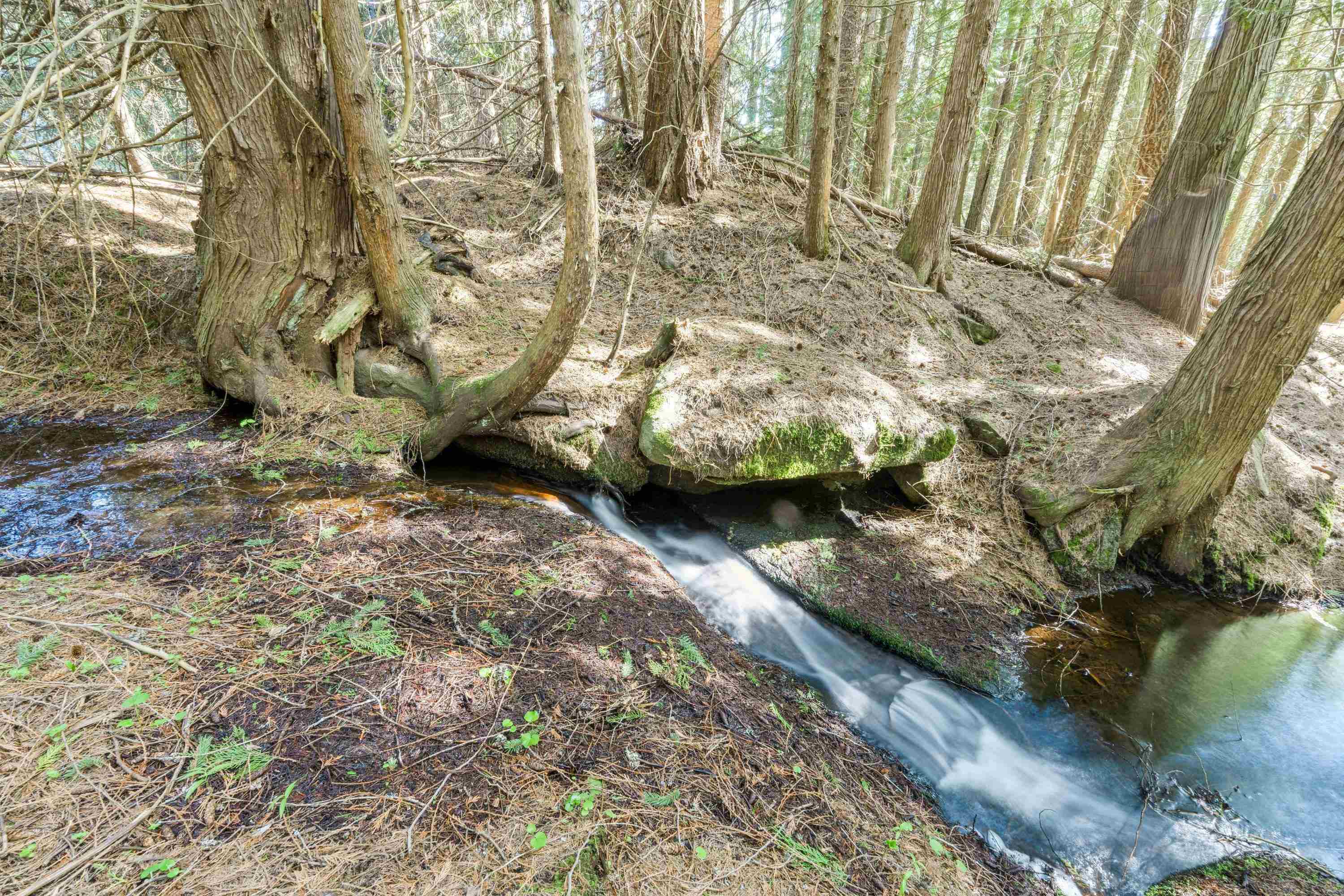 242 Quartz Rd - Photo 6