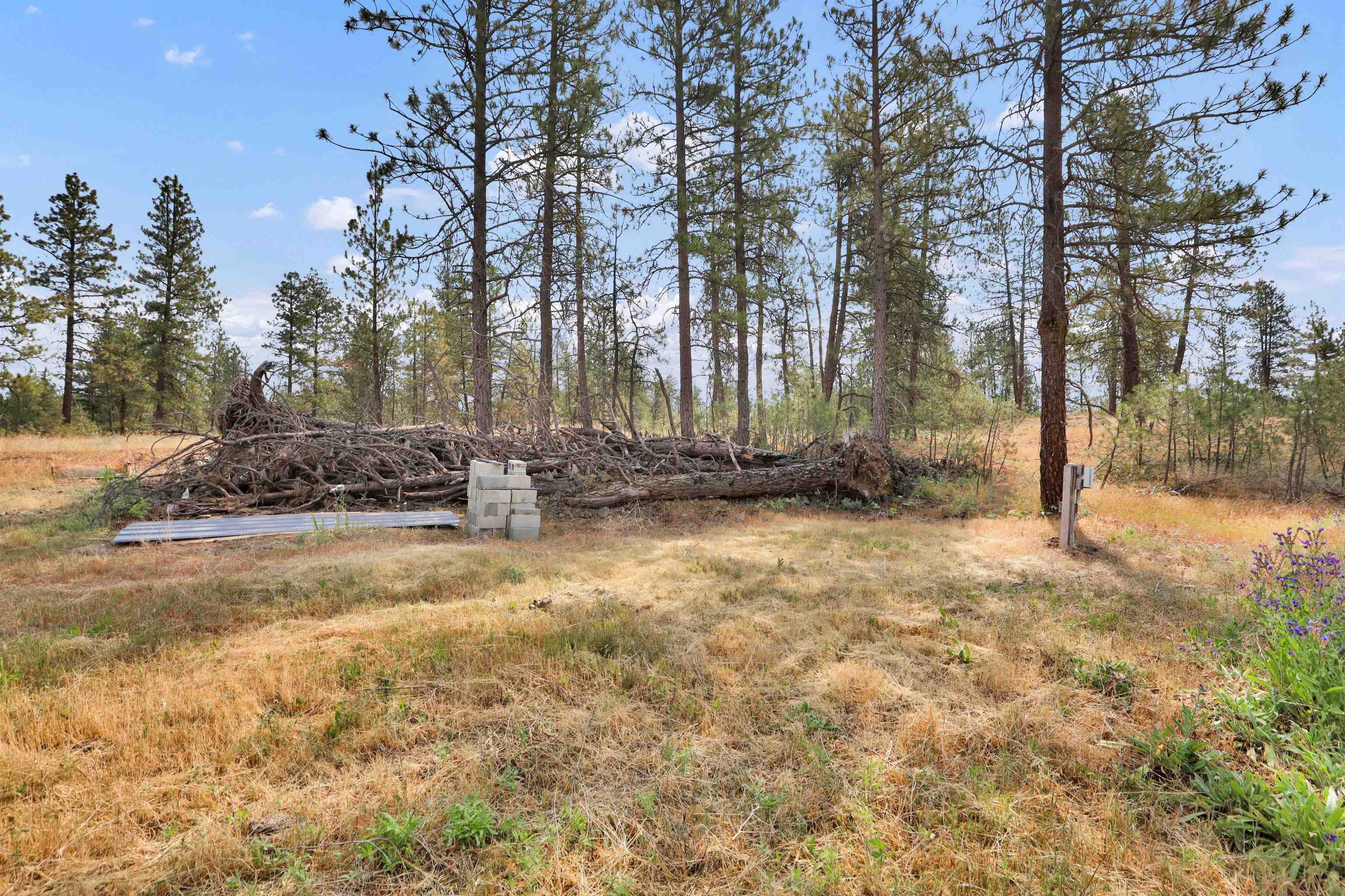 16621 S Sherman Rd - Photo 25