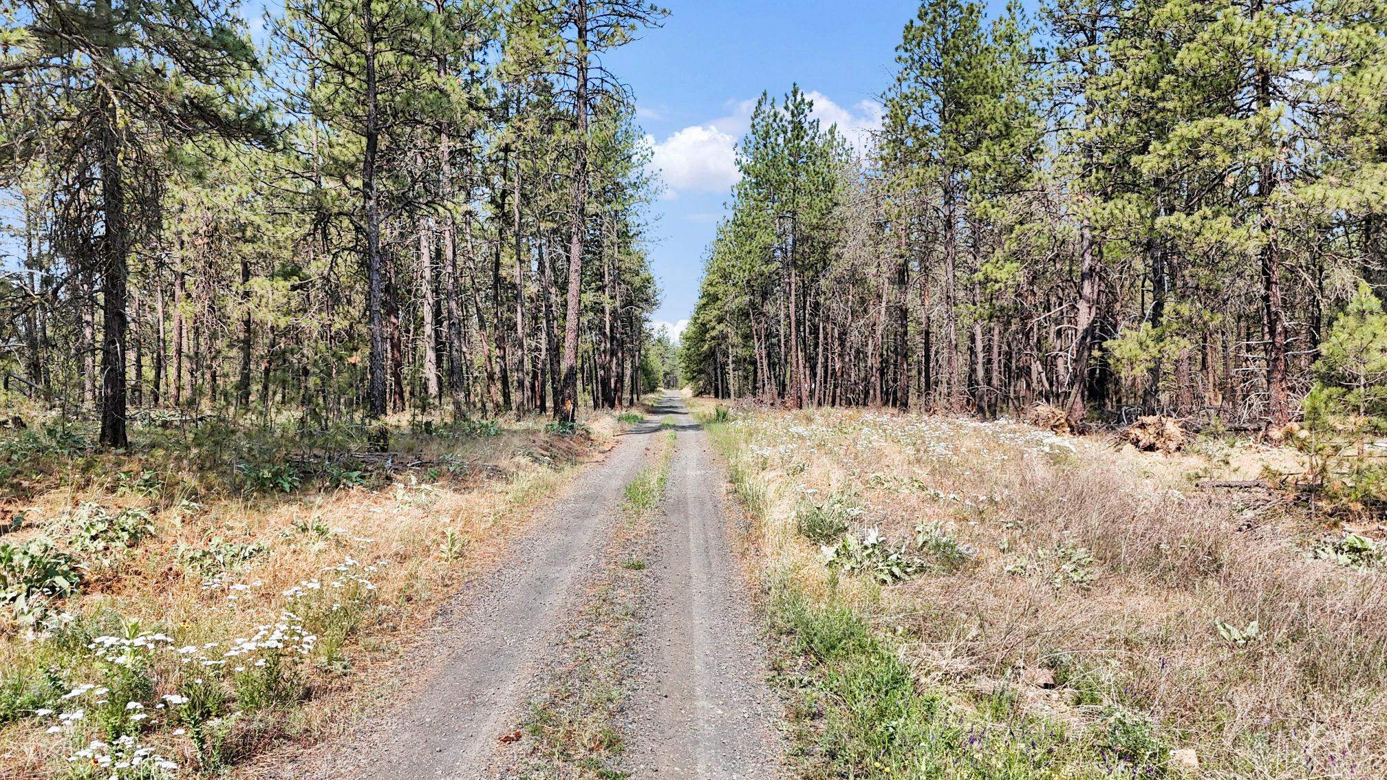 16621 S Sherman Rd - Photo 26