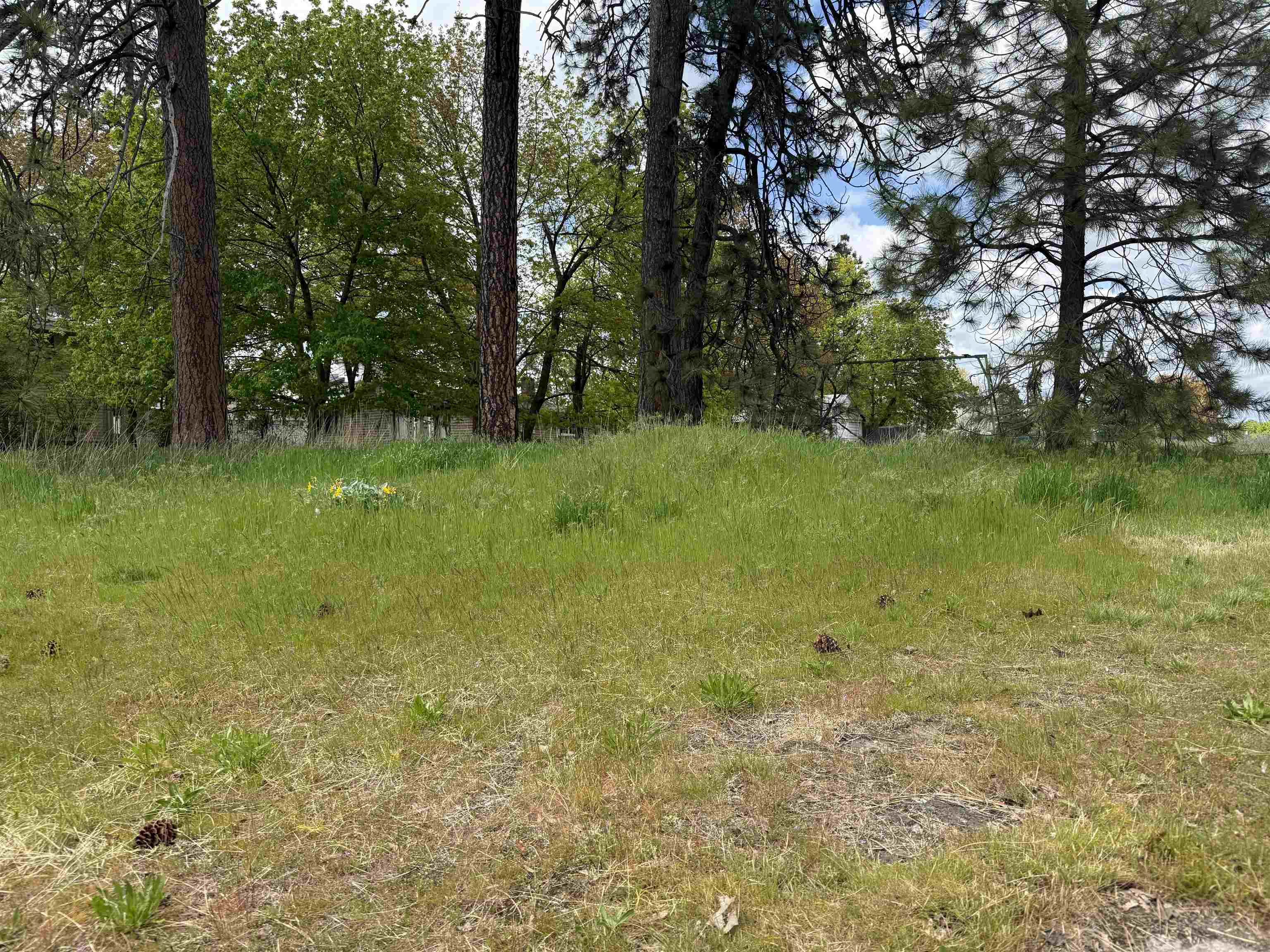 4123 E 28th Ave - Photo 1