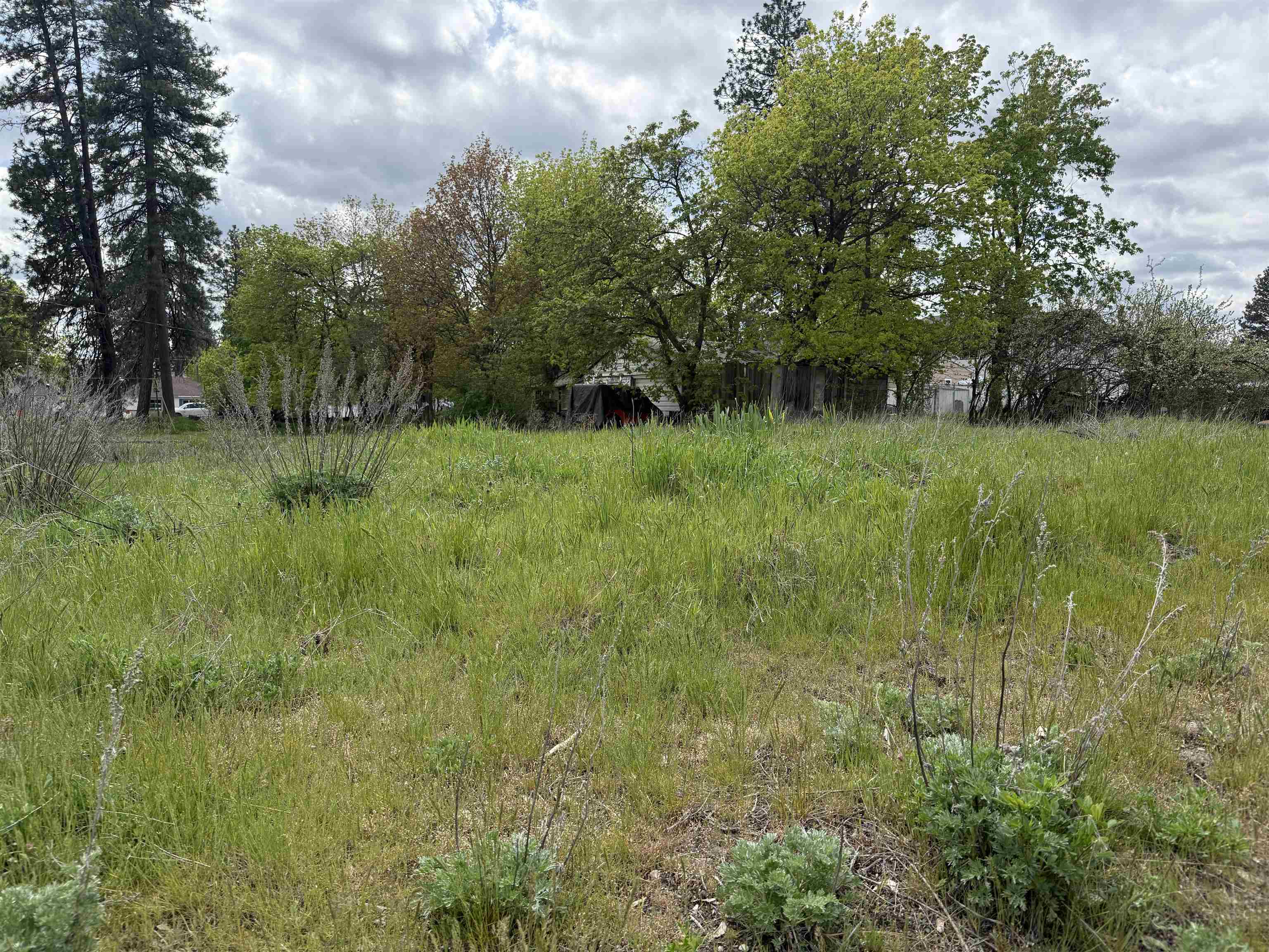 4123 E 28th Ave - Photo 5