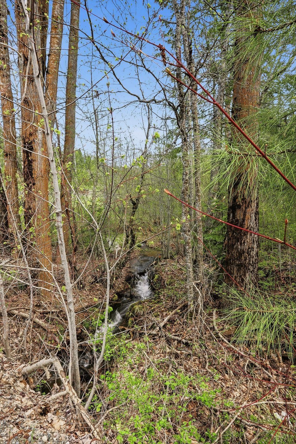 16617 E BLANCHARD Rd - Photo 16