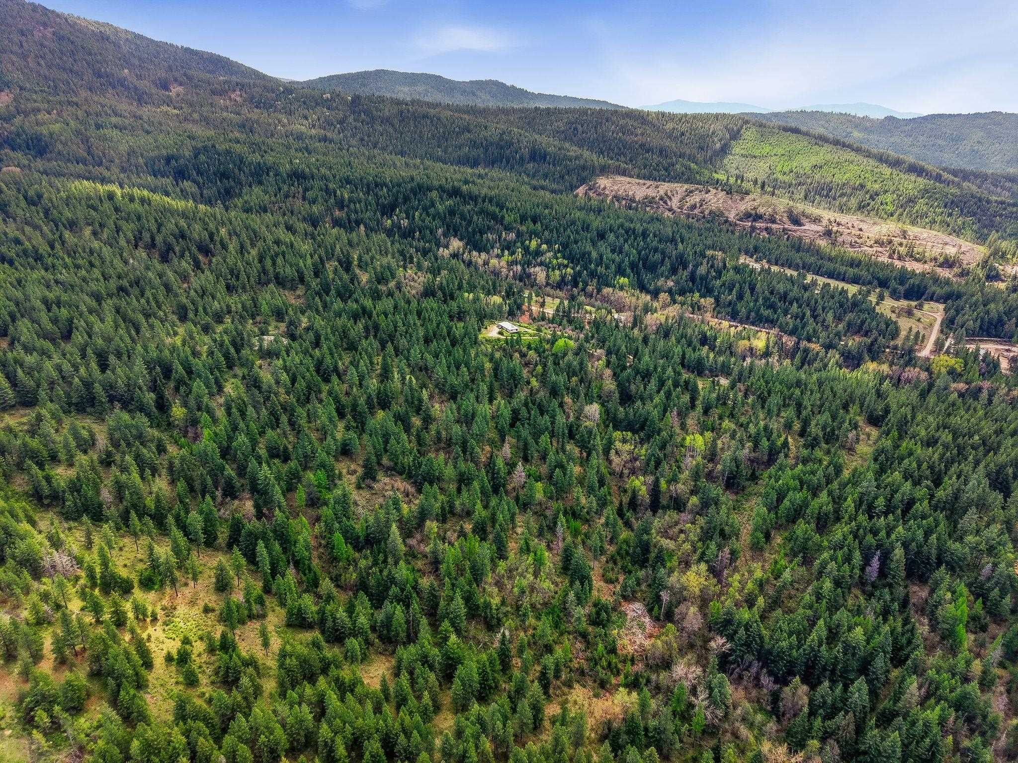 16617 E BLANCHARD Rd - Photo 9