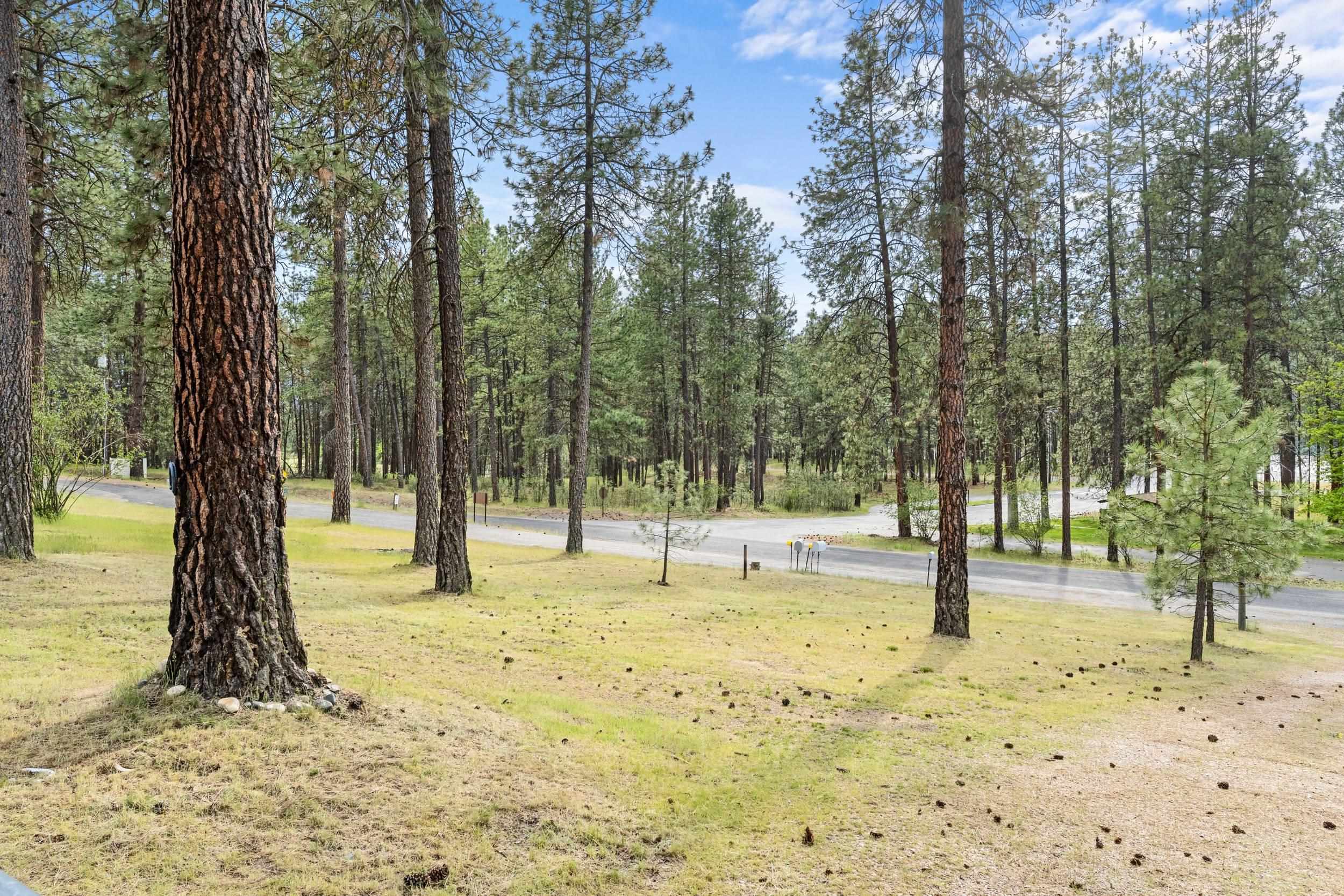 1367 Kettle Park Rd - Photo 35