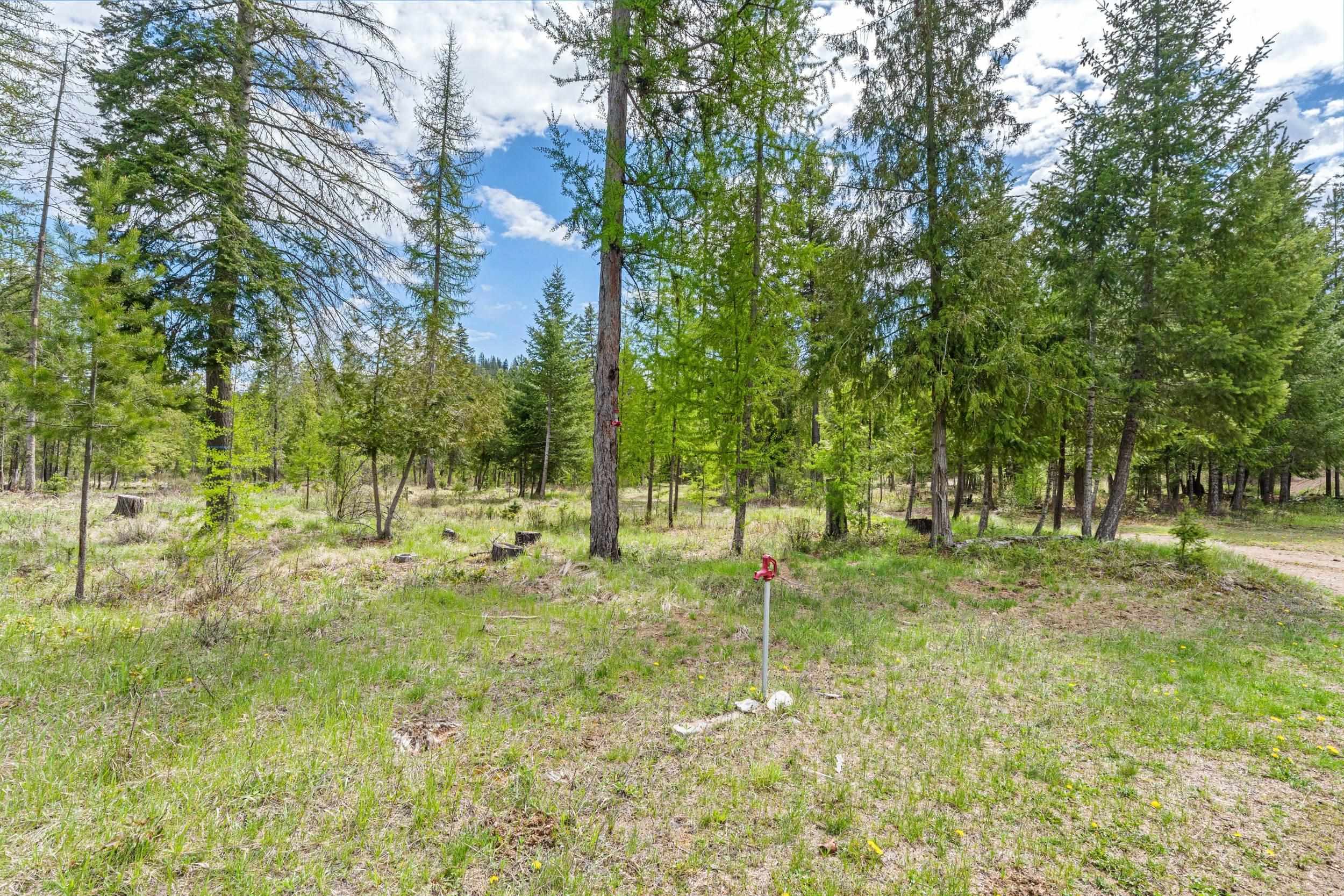 3145 Red Marble Rd - Photo 33