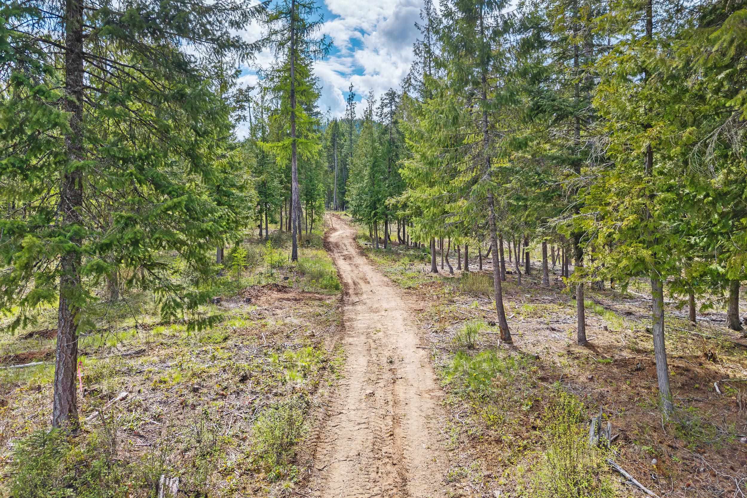 3145 Red Marble Rd - Photo 35