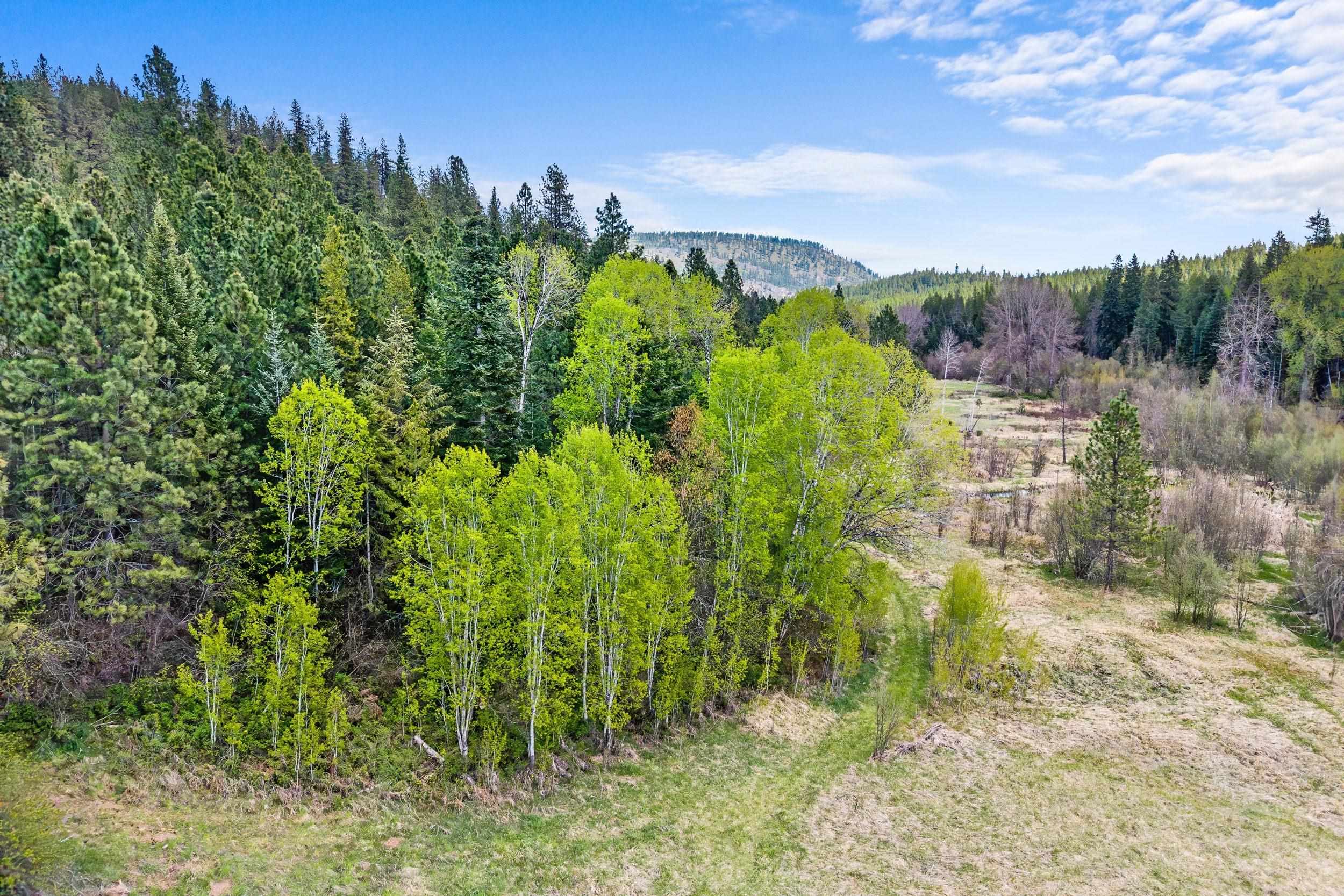 3145 Red Marble Rd - Photo 36