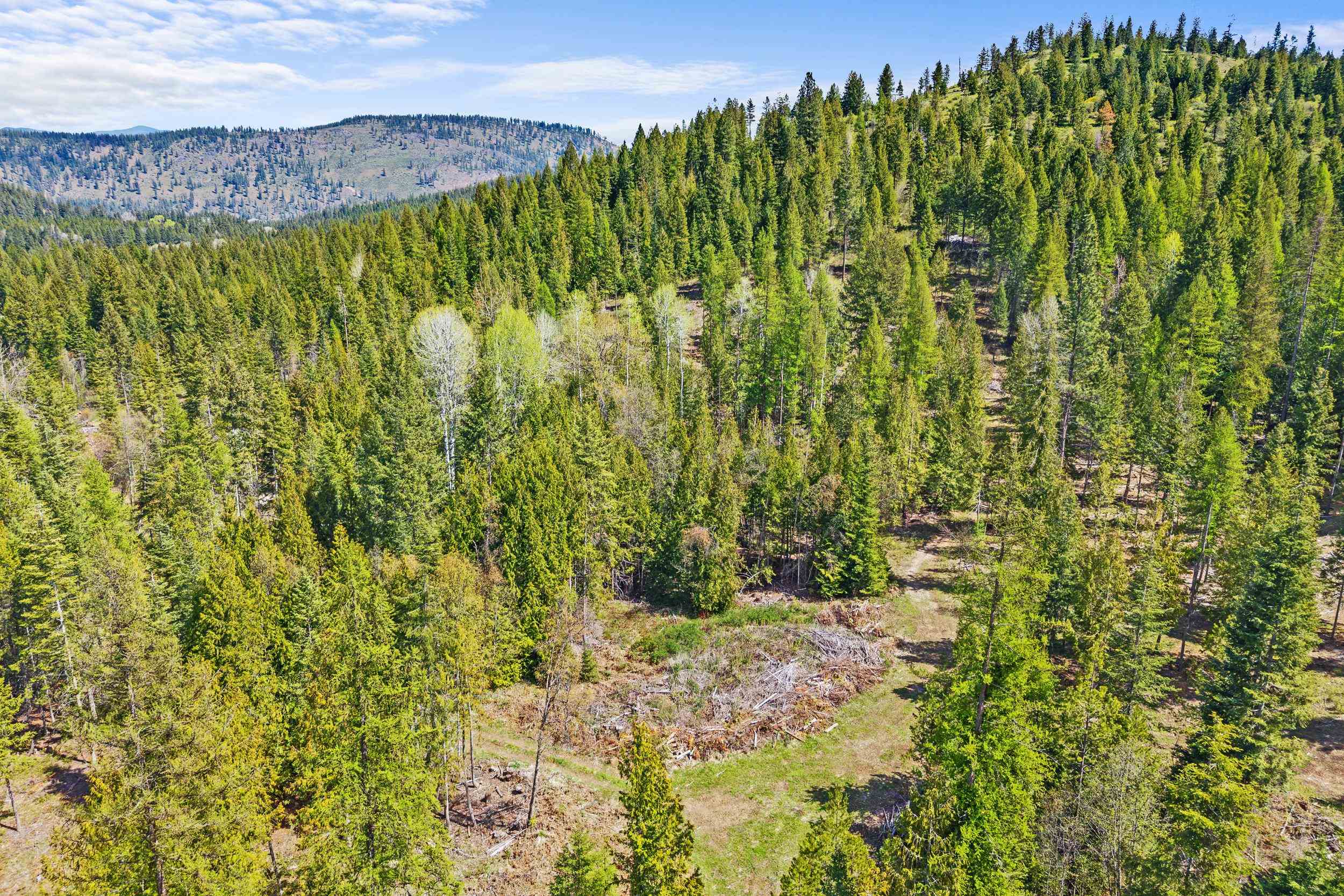 3145 Red Marble Rd - Photo 37