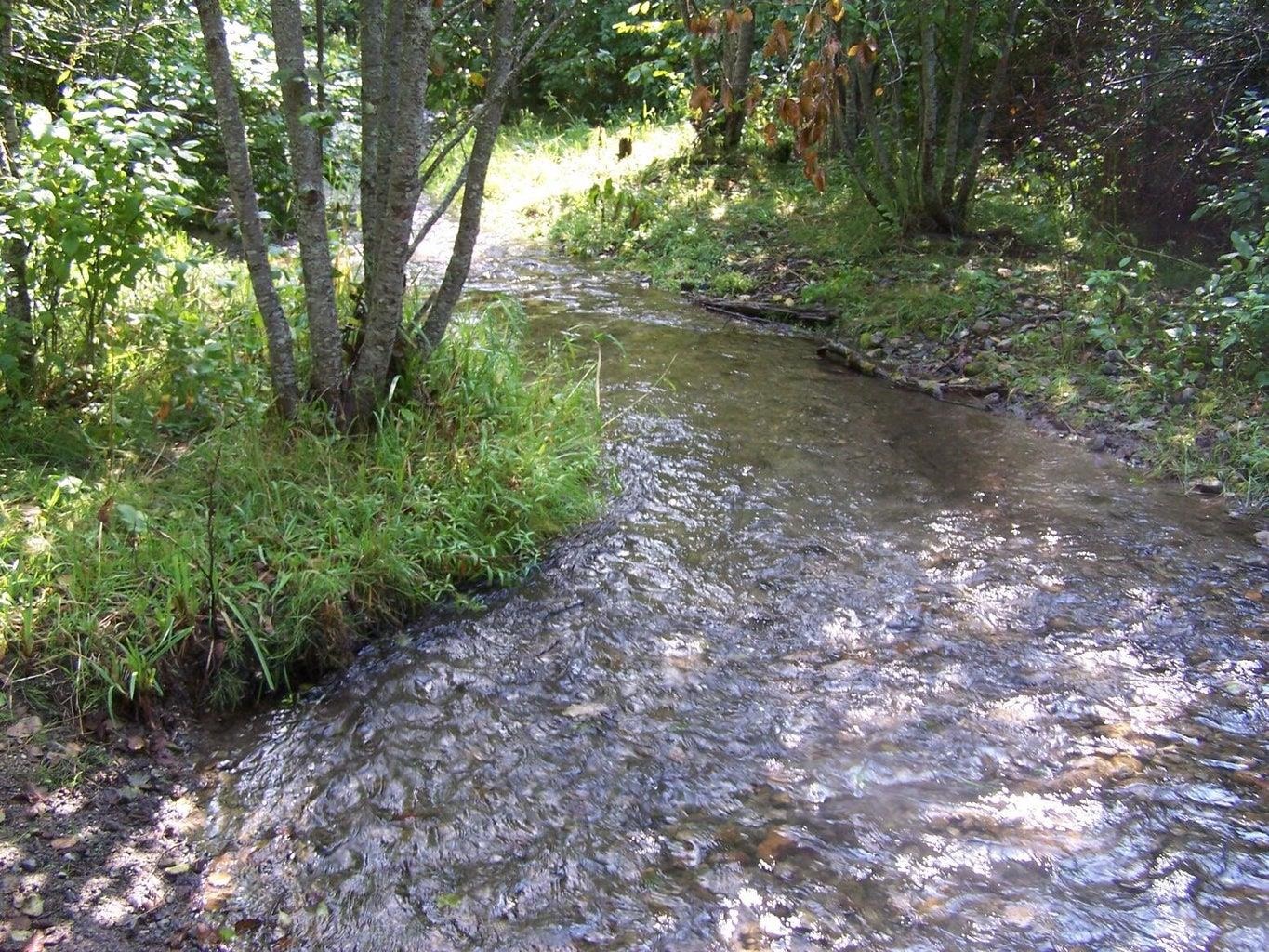 35XX Northport Flat Creek Rd - Photo 1