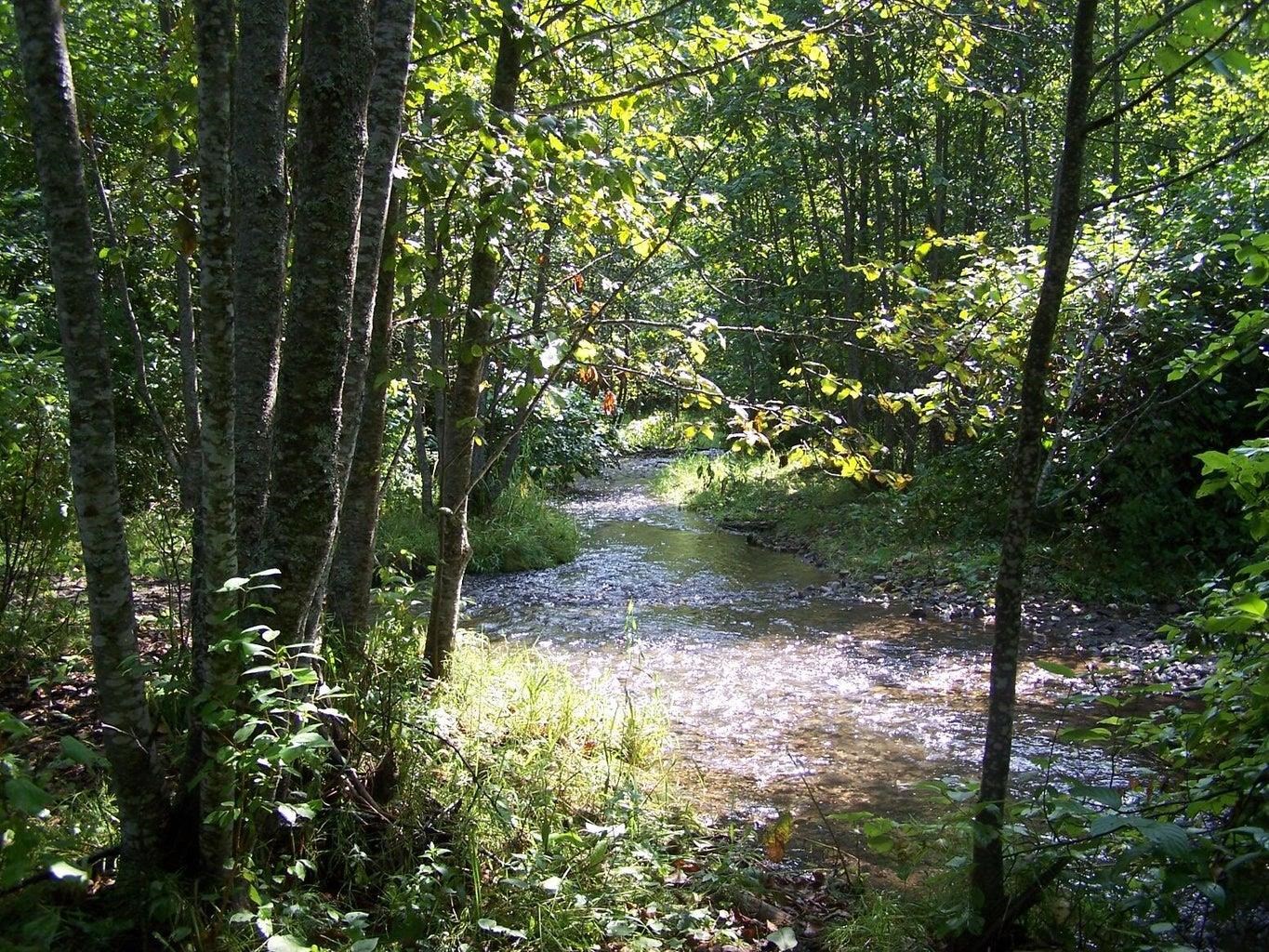 35XX Northport Flat Creek Rd - Photo 2