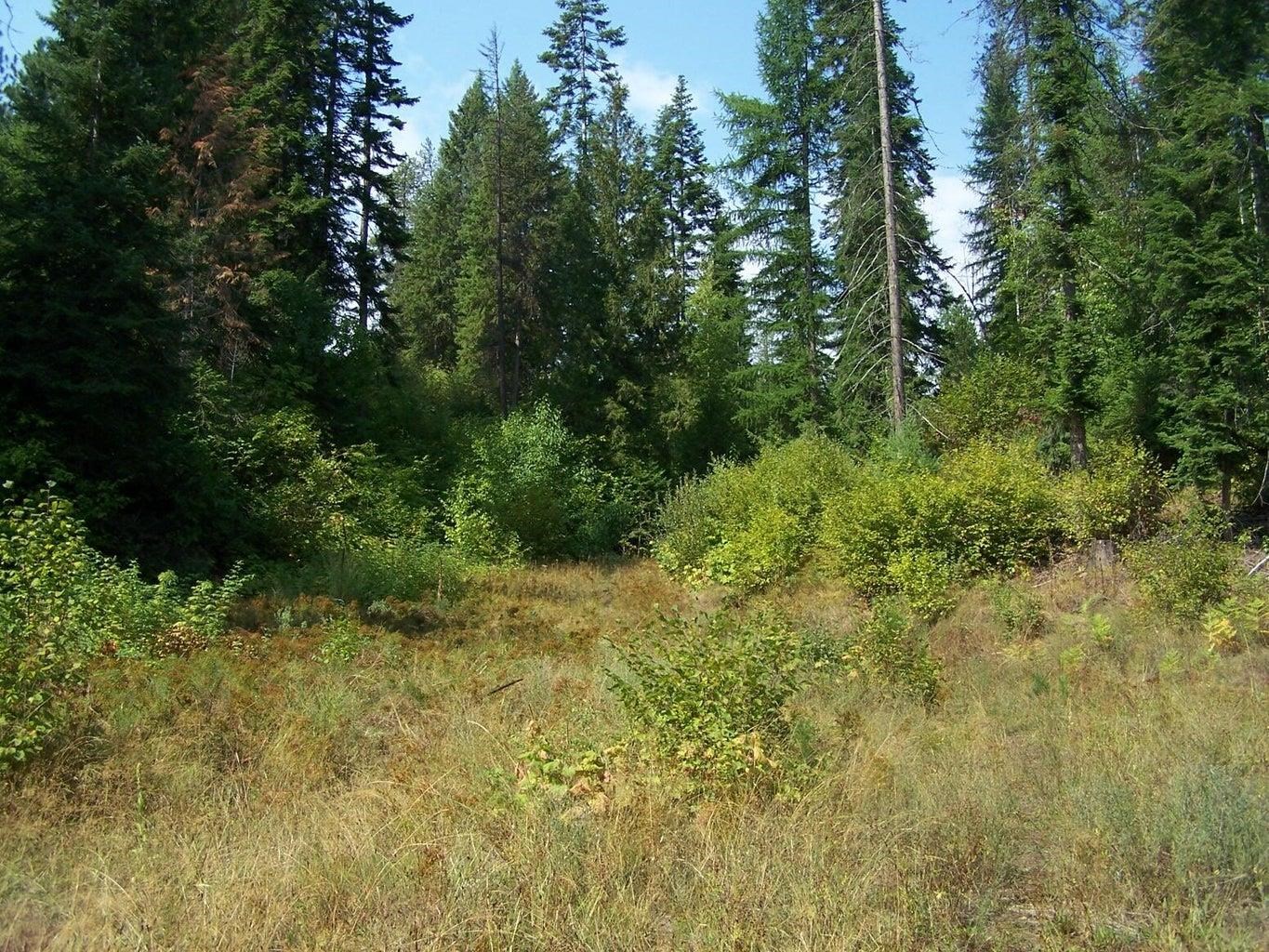 35XX Northport Flat Creek Rd - Photo 4