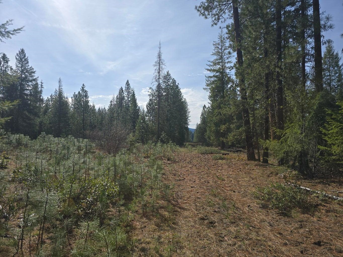 35XX Northport Flat Creek Rd - Photo 8