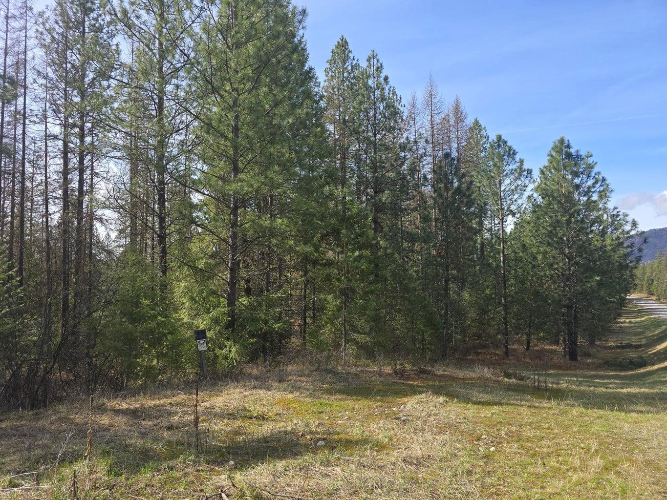 35XX Northport Flat Creek Rd - Photo 9