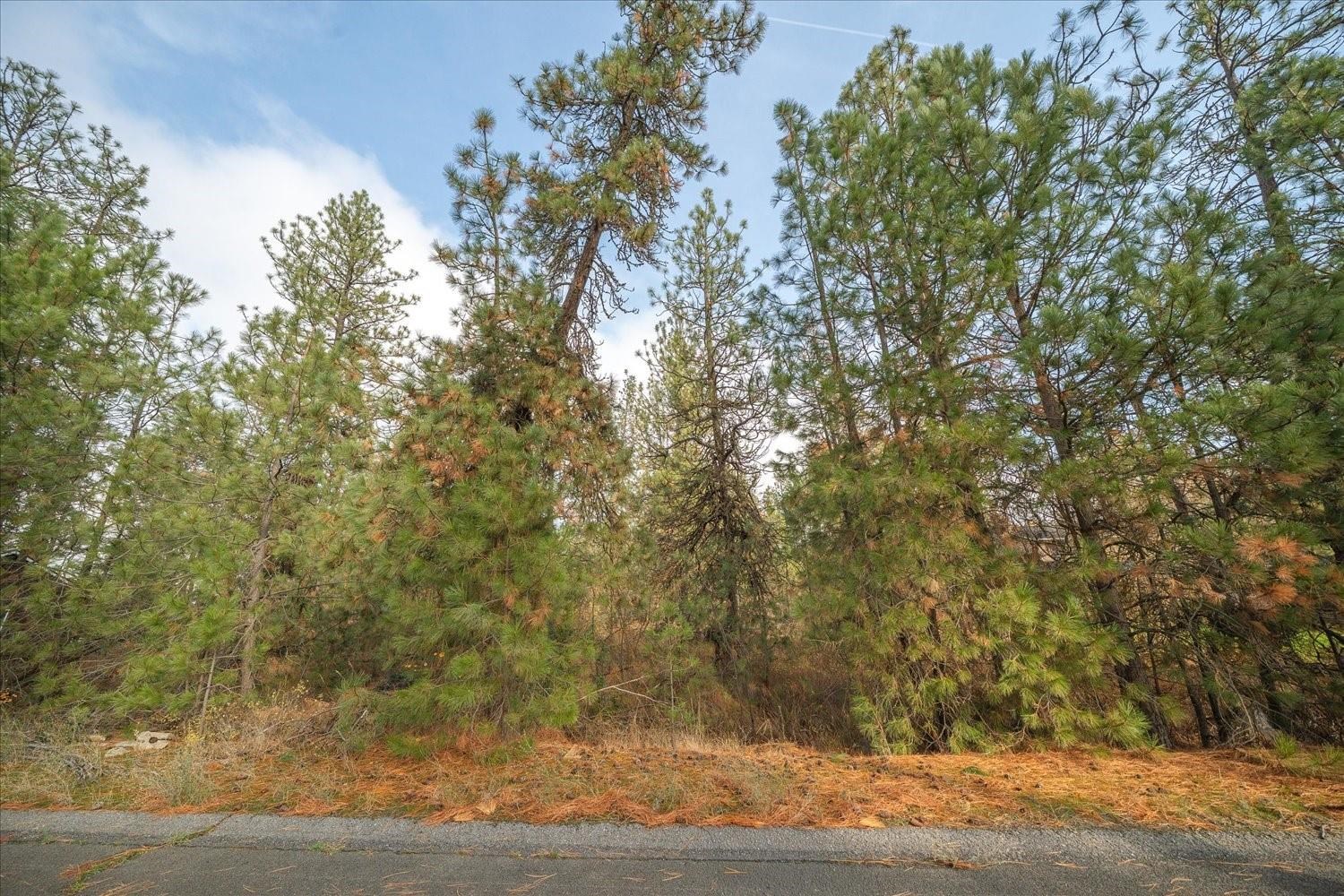 201xx W Waterside Ct - Photo 35