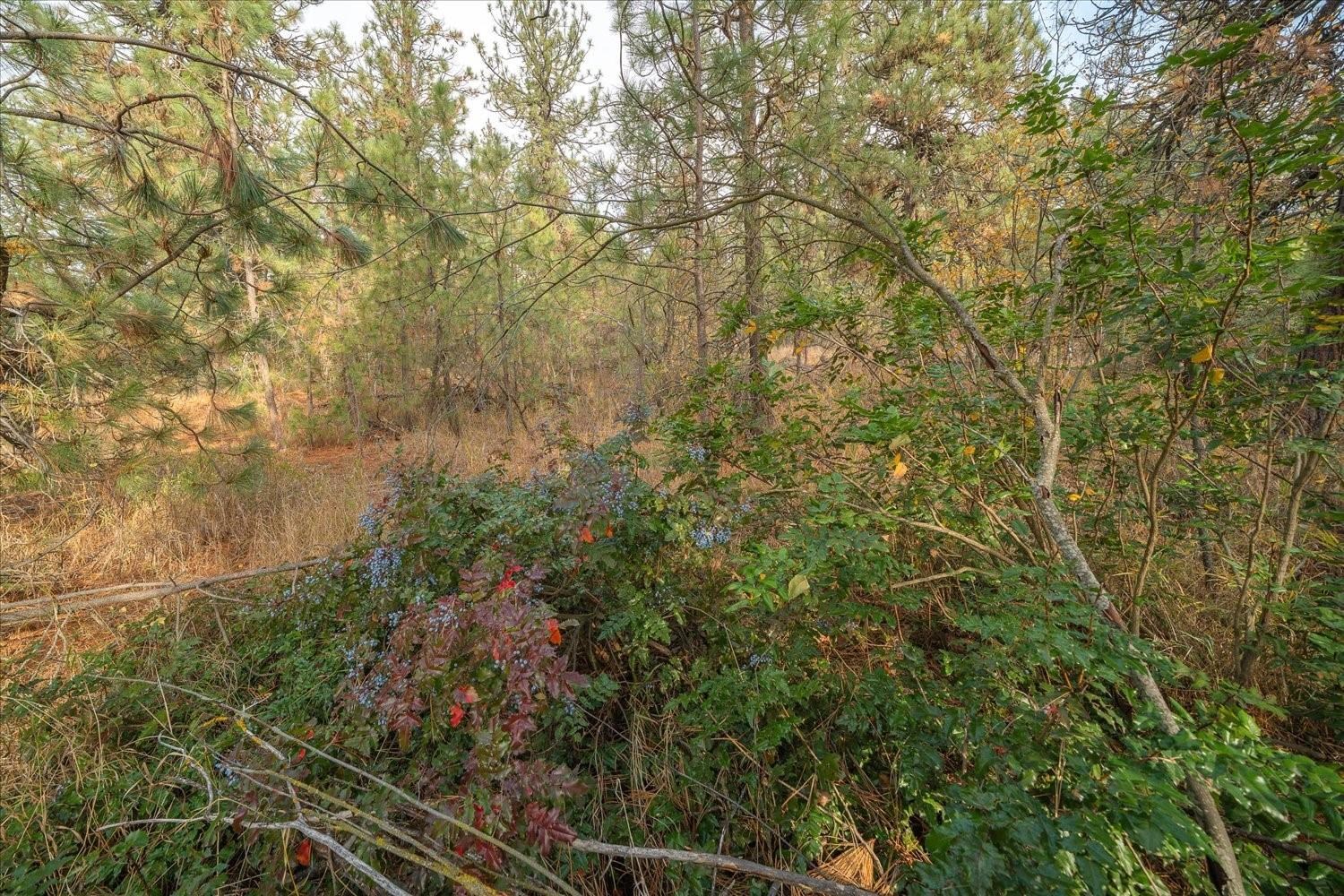 201xx W Waterside Ct - Photo 39