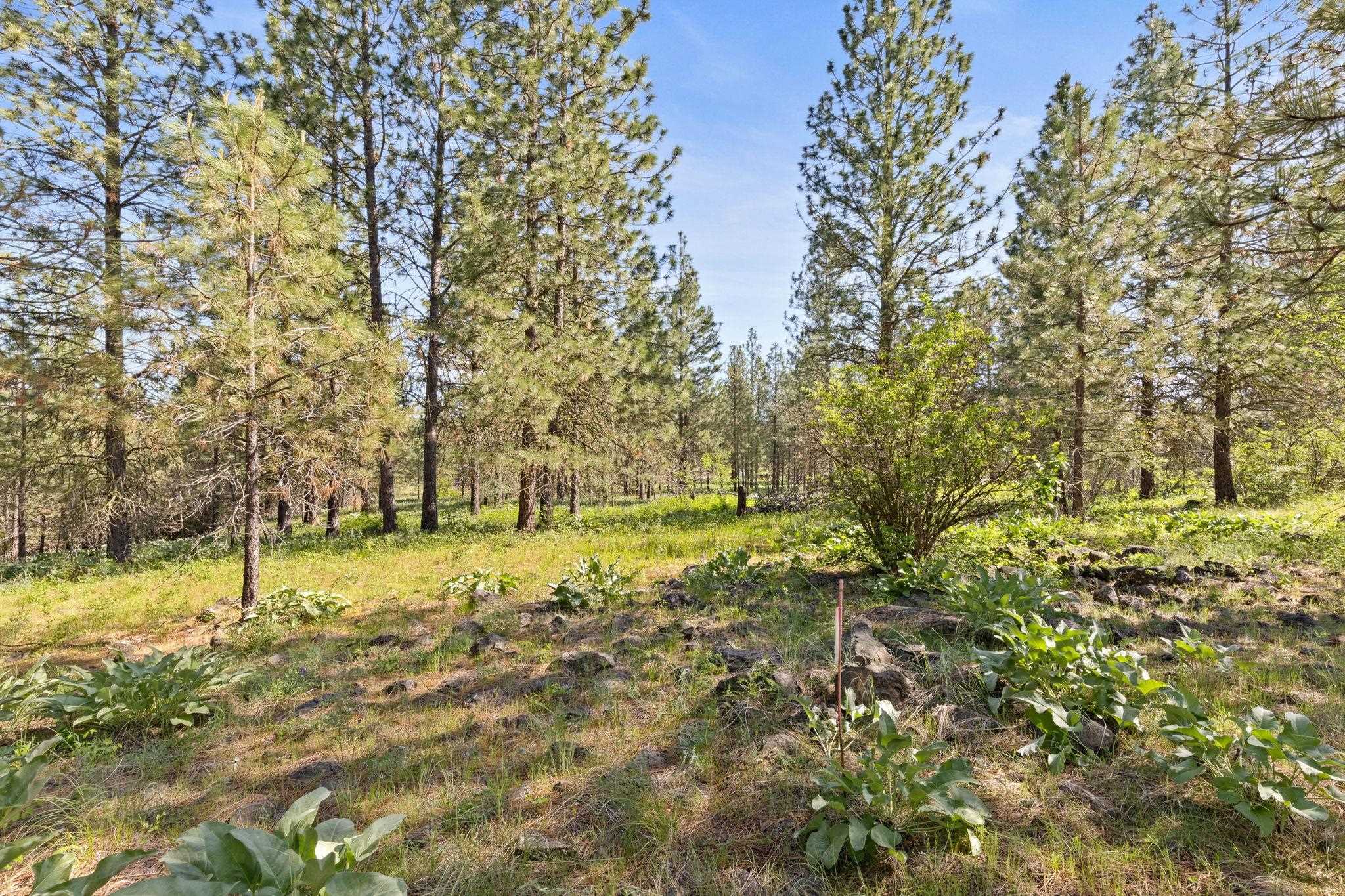 6601 Stony Way - Photo 11