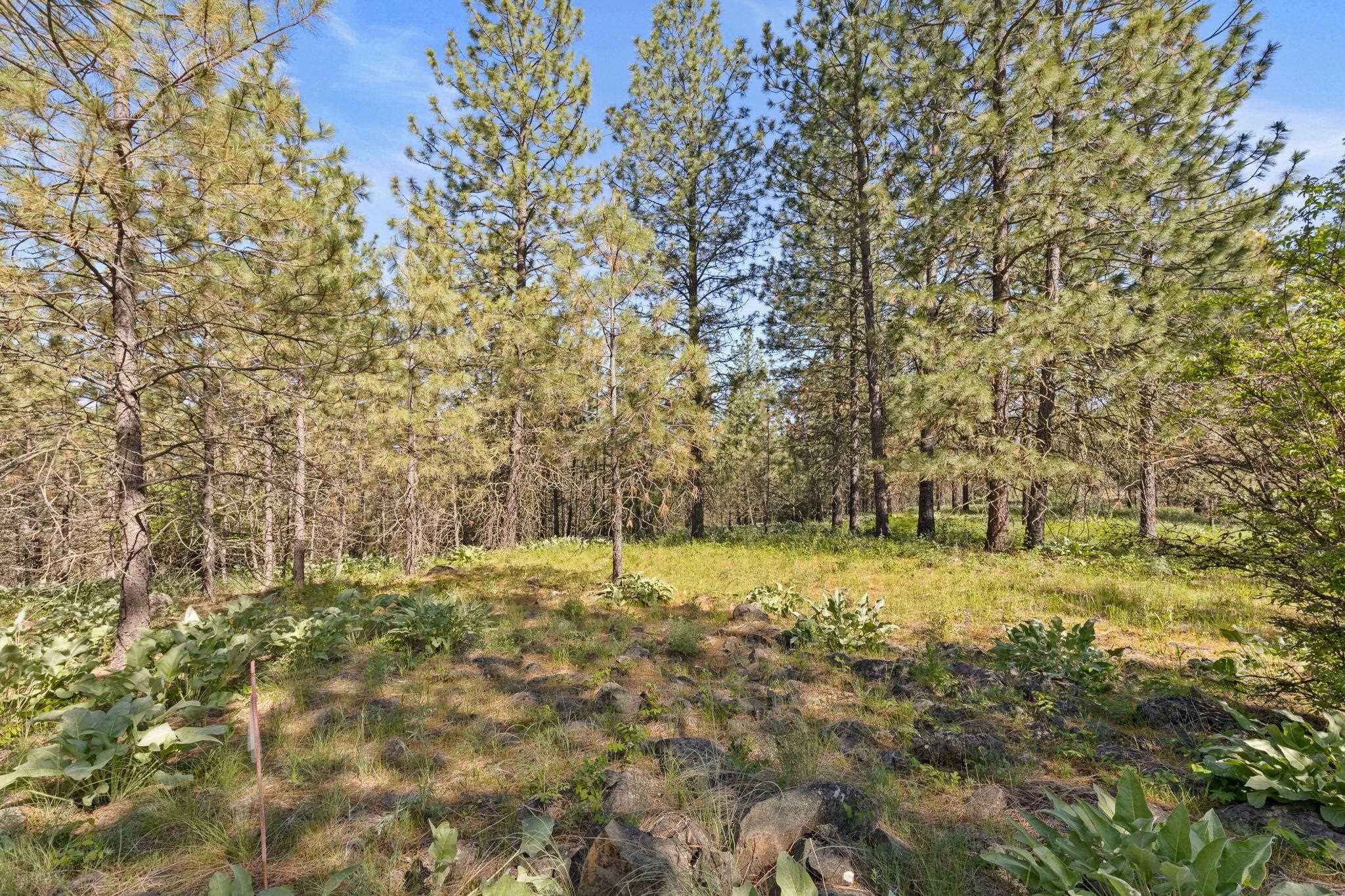 6601 Stony Way - Photo 12