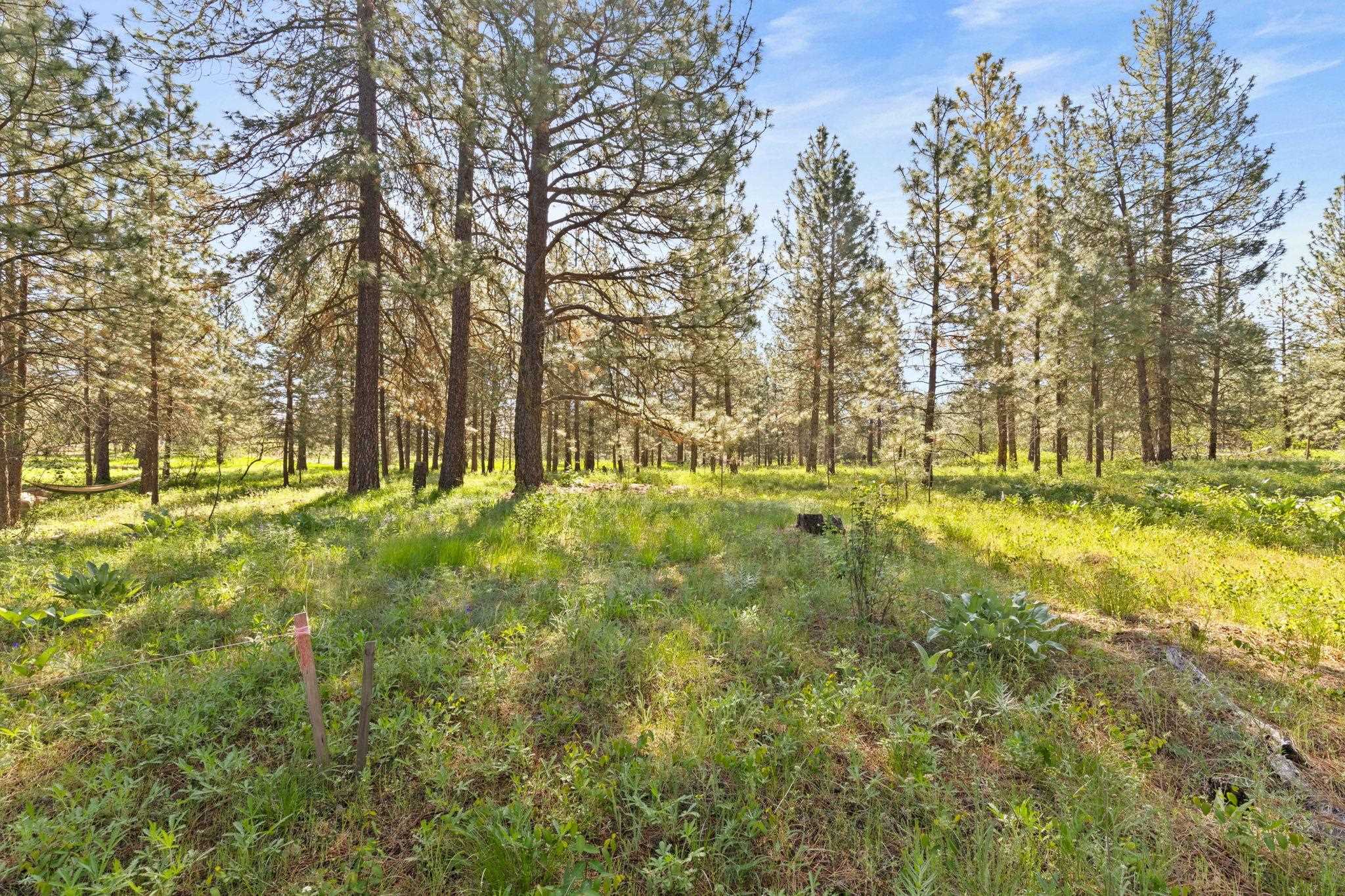 6601 Stony Way - Photo 13