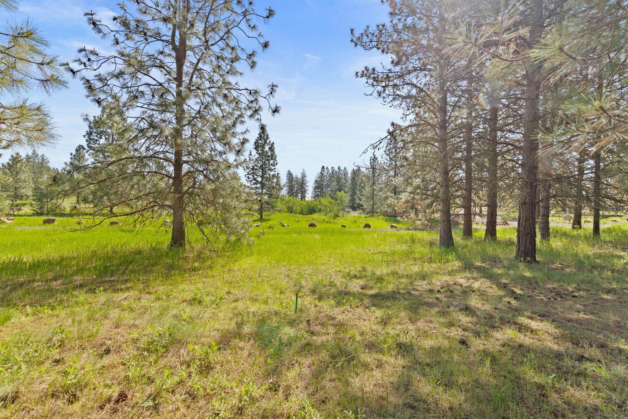 6601 Stony Way - Photo 14