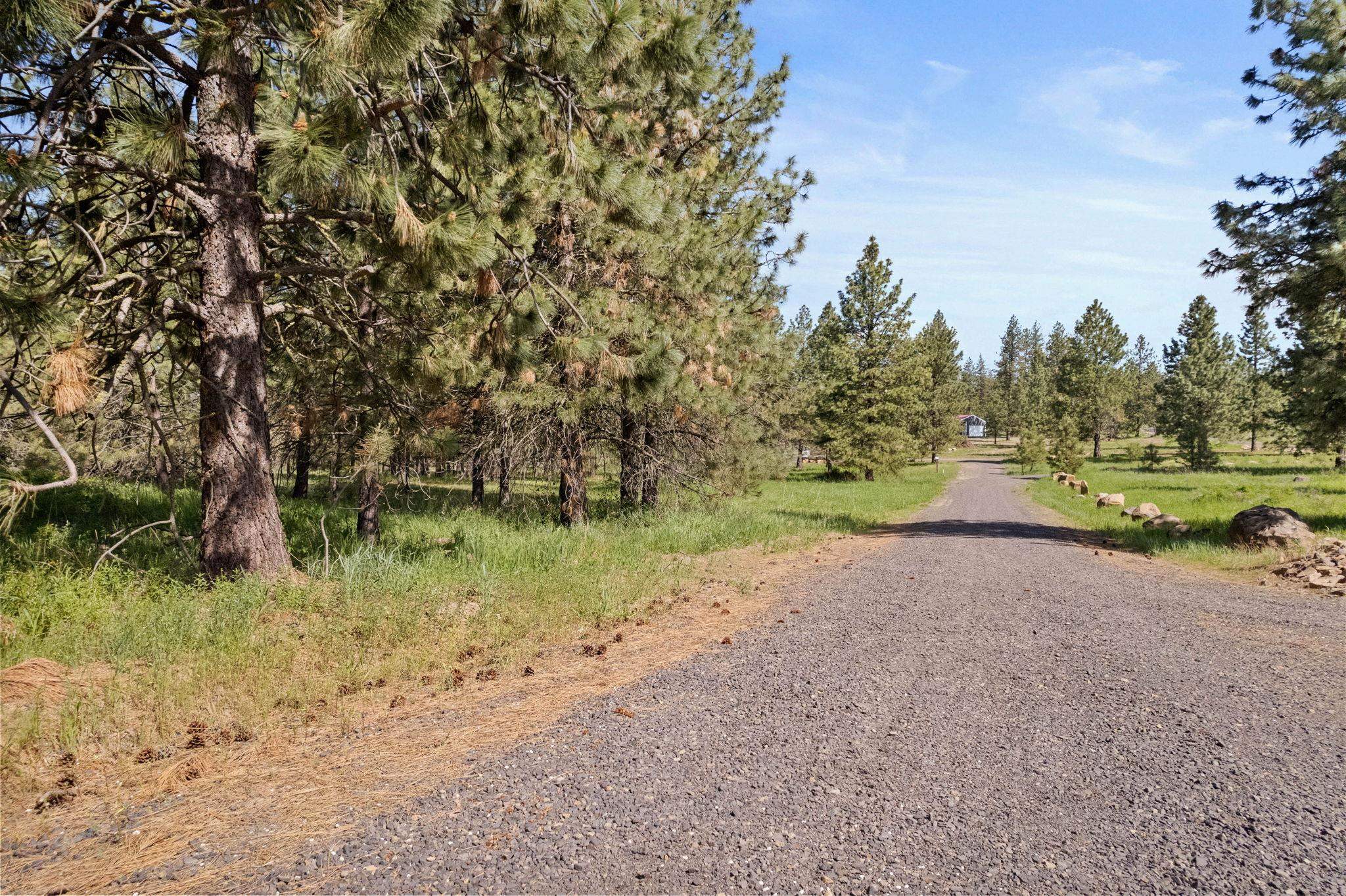 6601 Stony Way - Photo 15