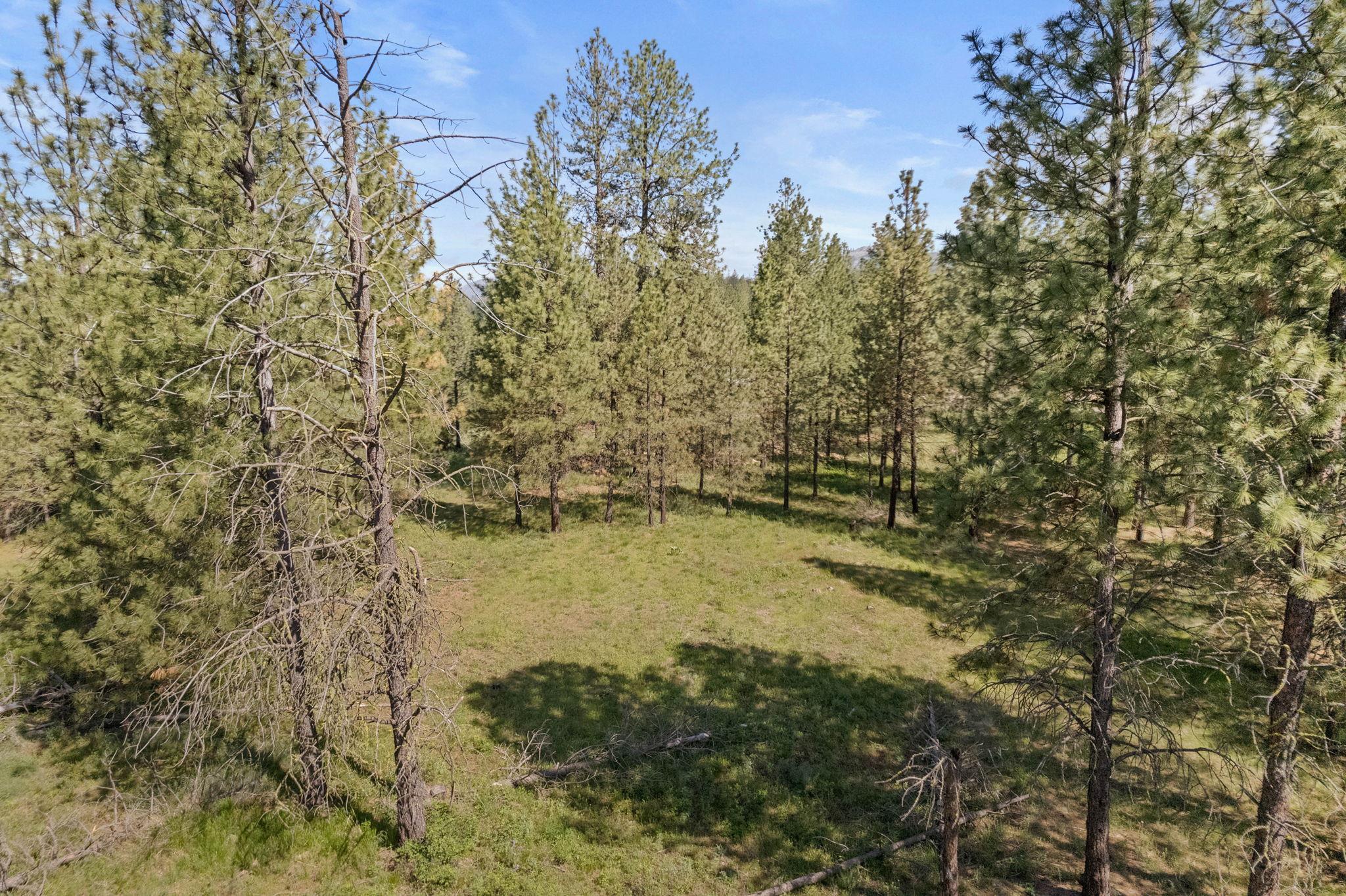 6601 Stony Way - Photo 3