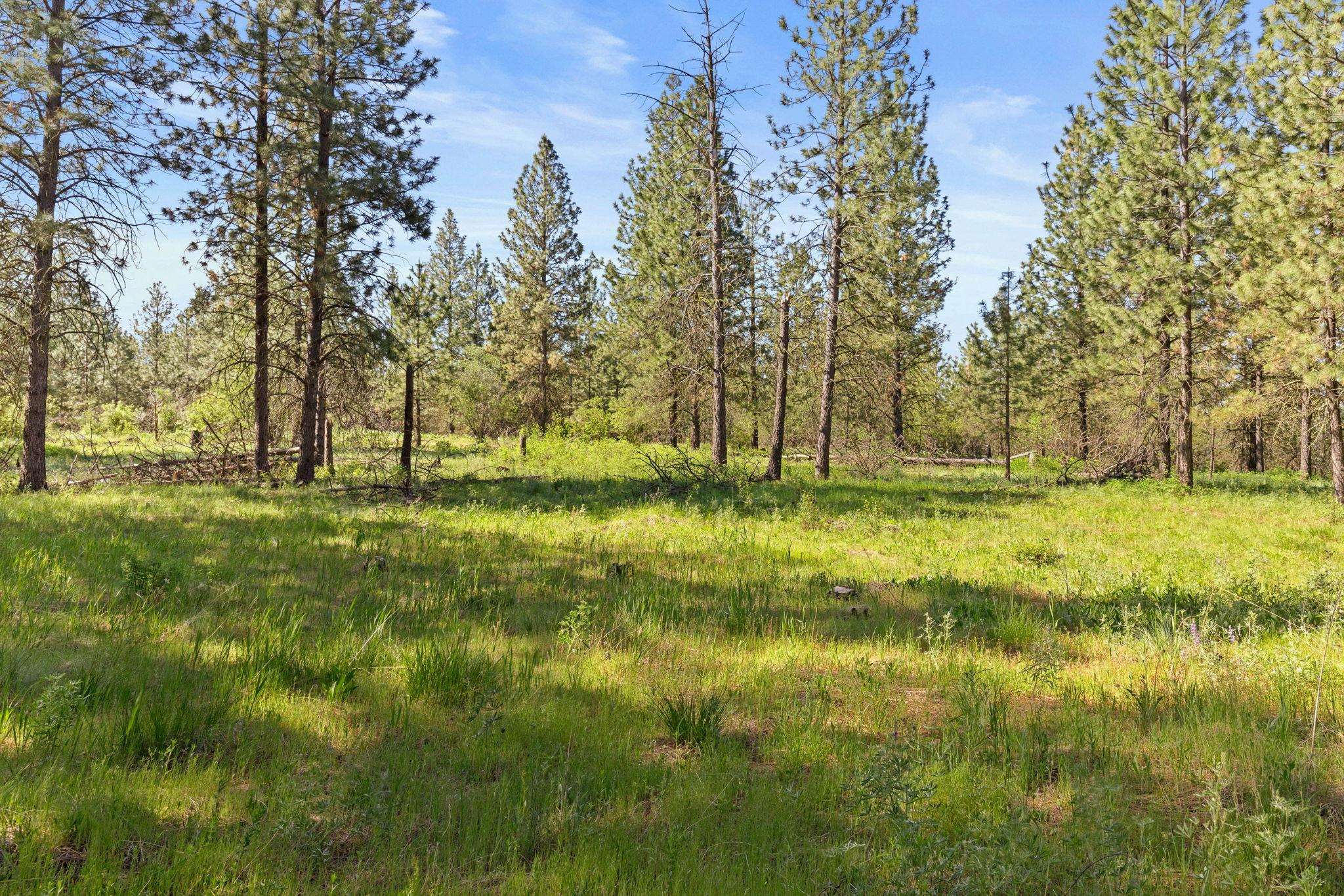 6601 Stony Way - Photo 4