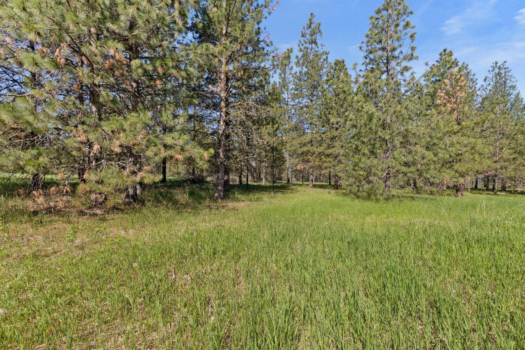 6601 Stony Way - Photo 8
