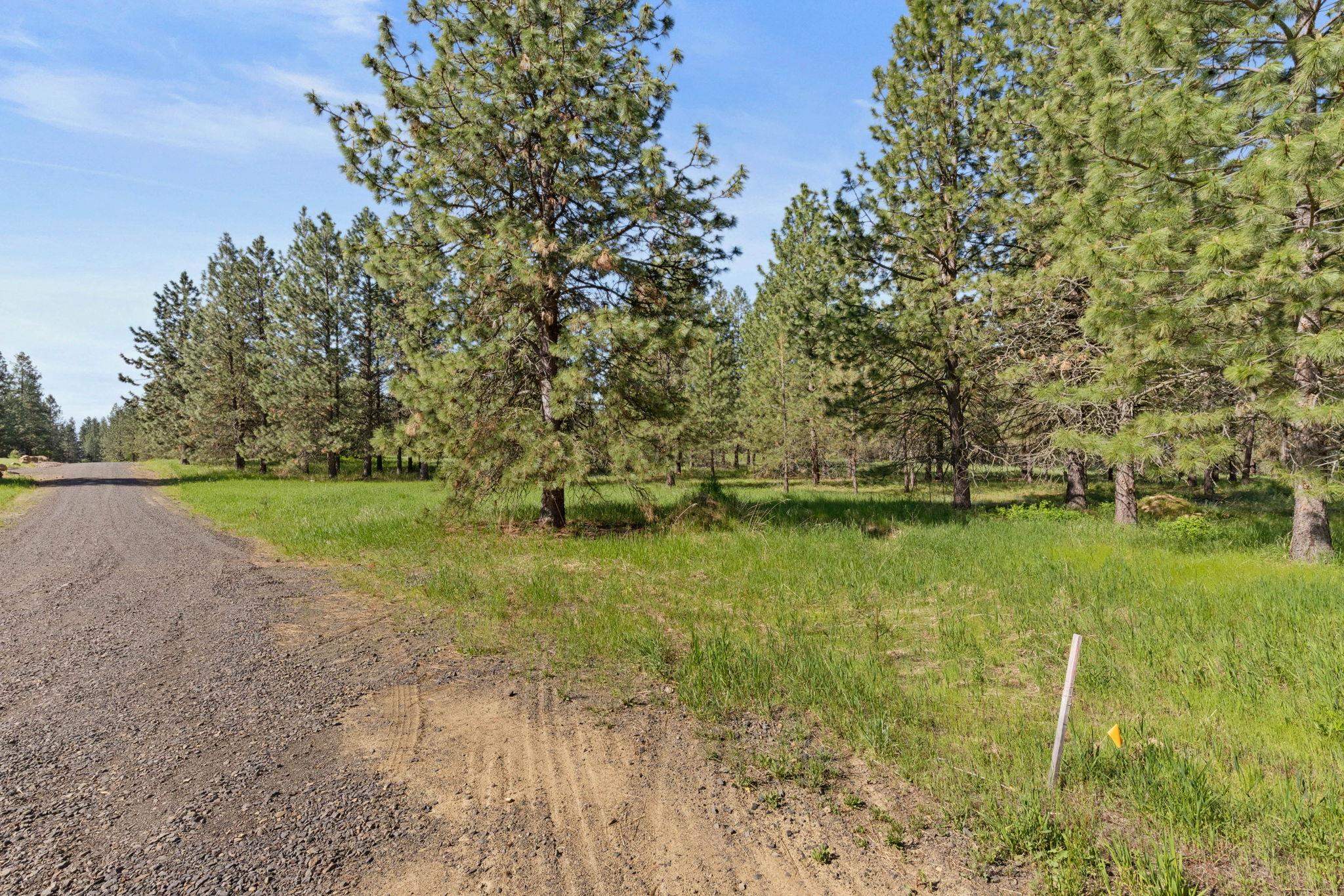6601 Stony Way - Photo 9