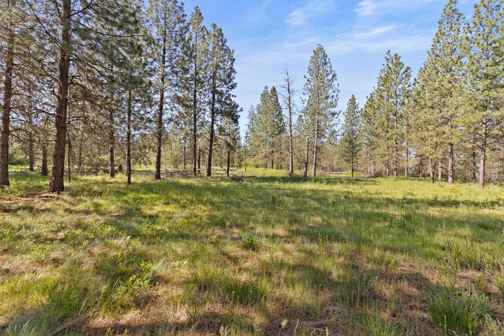 6601 Stony Way - Photo 10