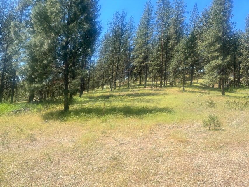 6 Parkview Dr - Photo 9