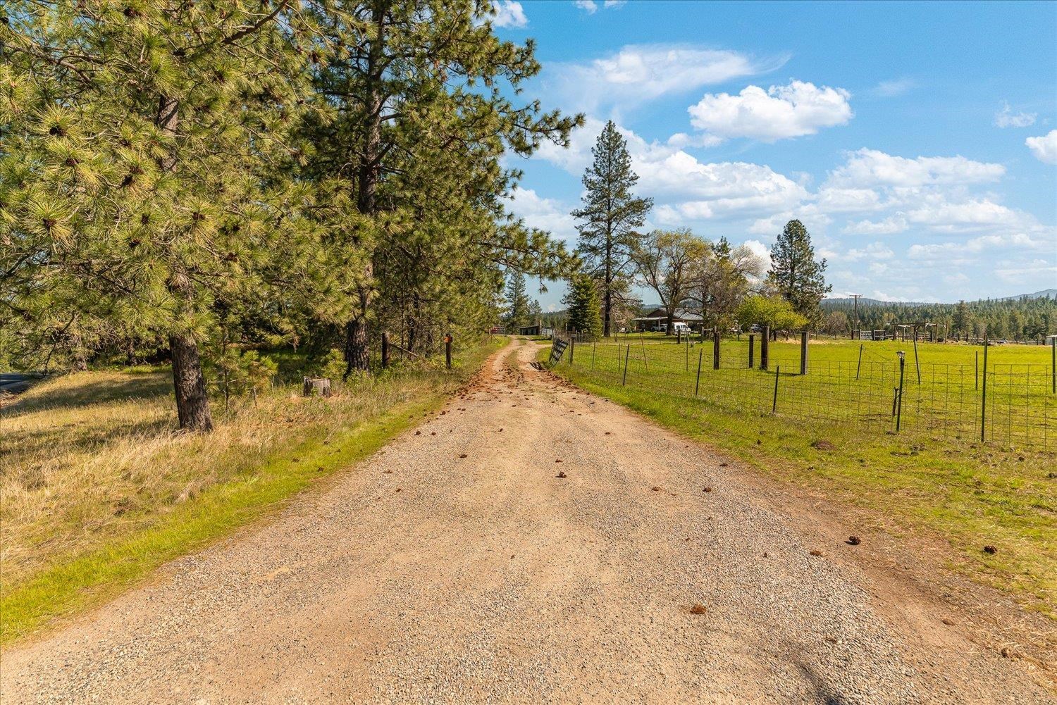 32604 N Elk Chattaroy Rd - Photo 2